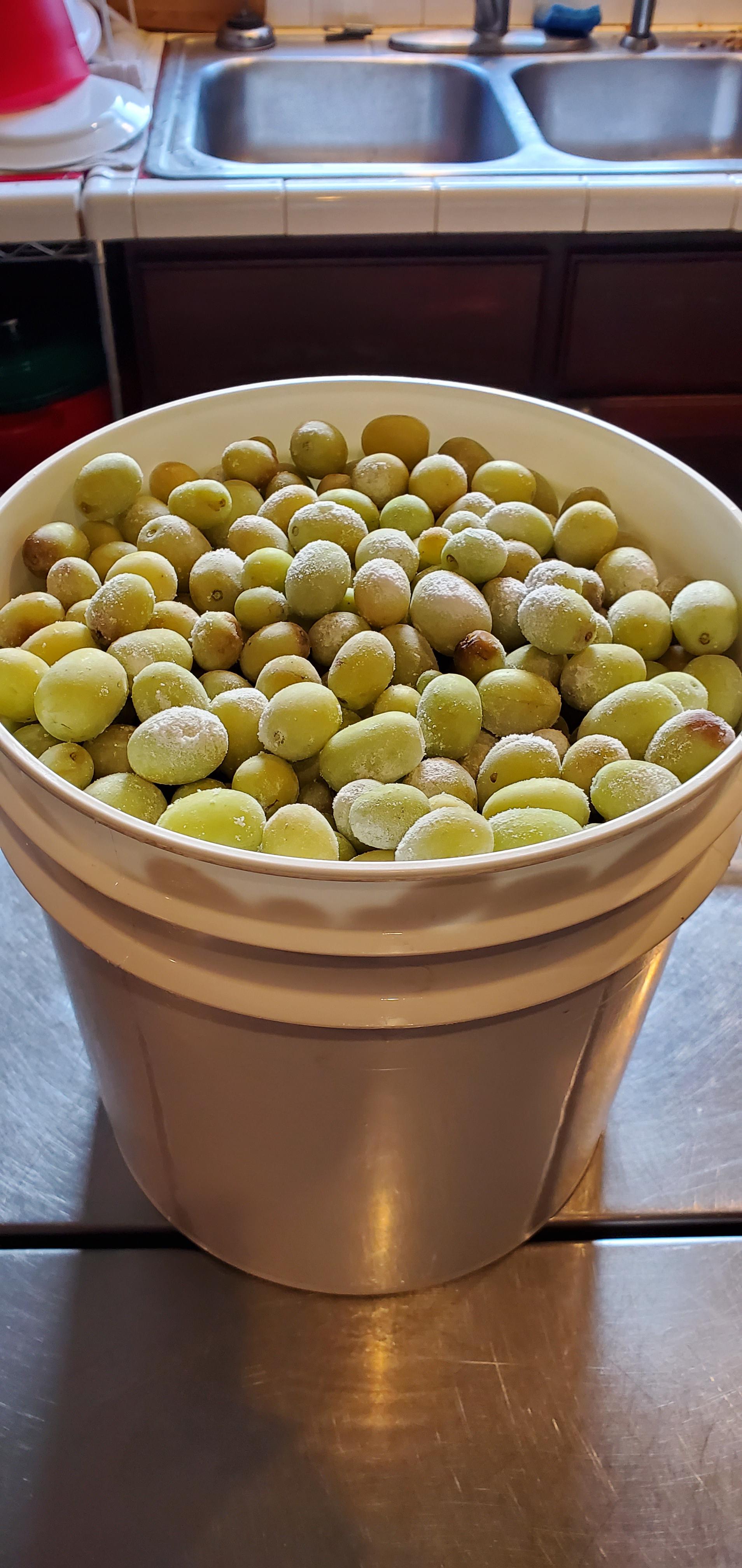 10.5lbs of fresh, frozen Cotton Candy Grapes and pectic enzyme. I'll