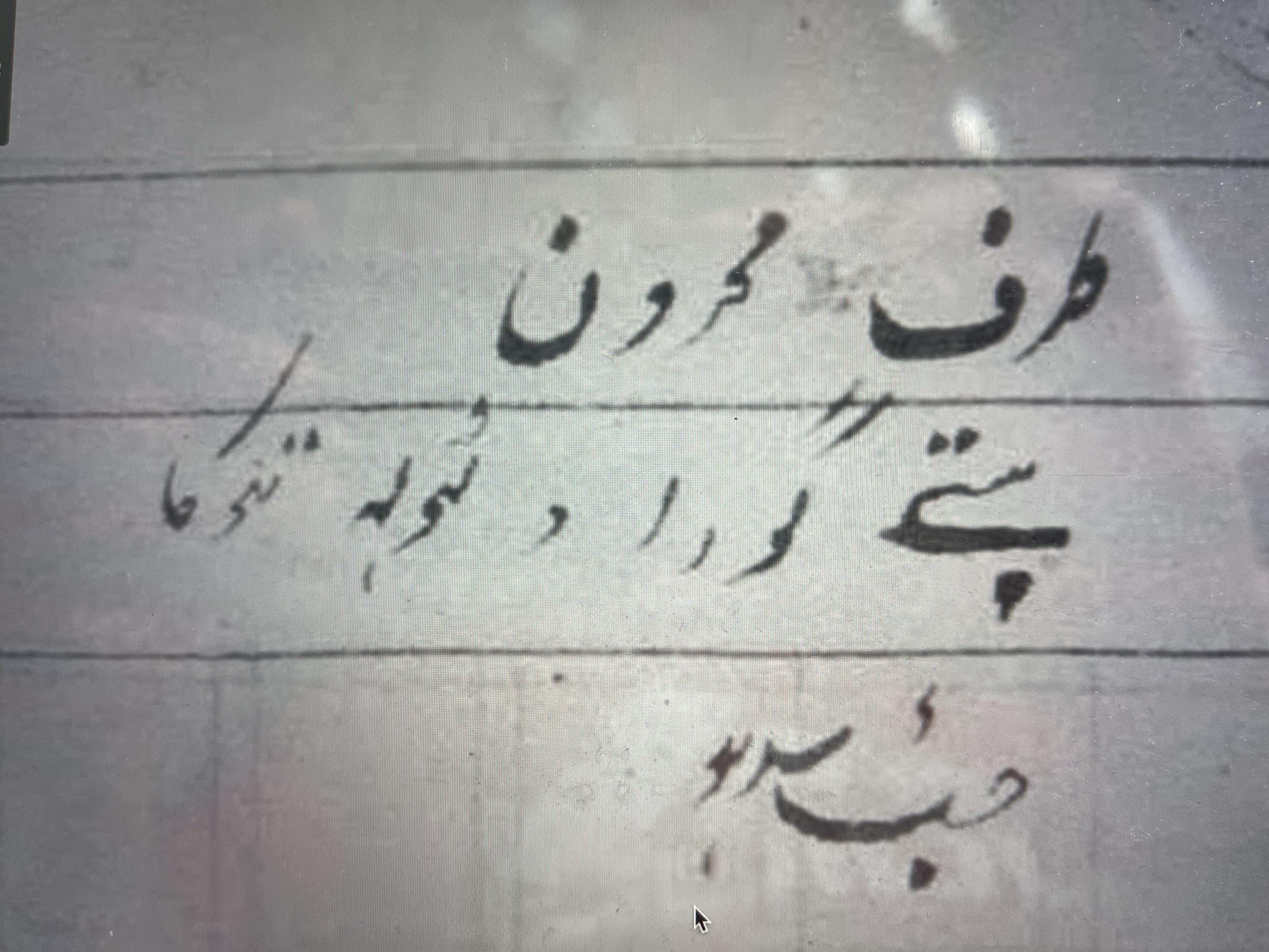 Punjabi Land Record Translation What does this pic say? Looks like