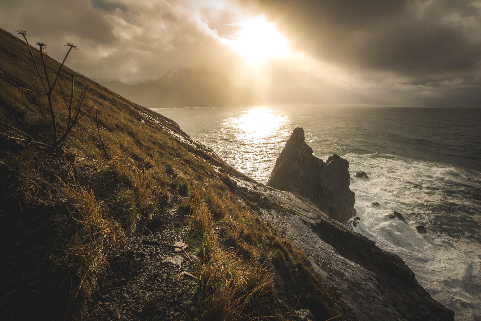 One of the best sun showers I've had on the Oregon Coast [OC][2000x1335