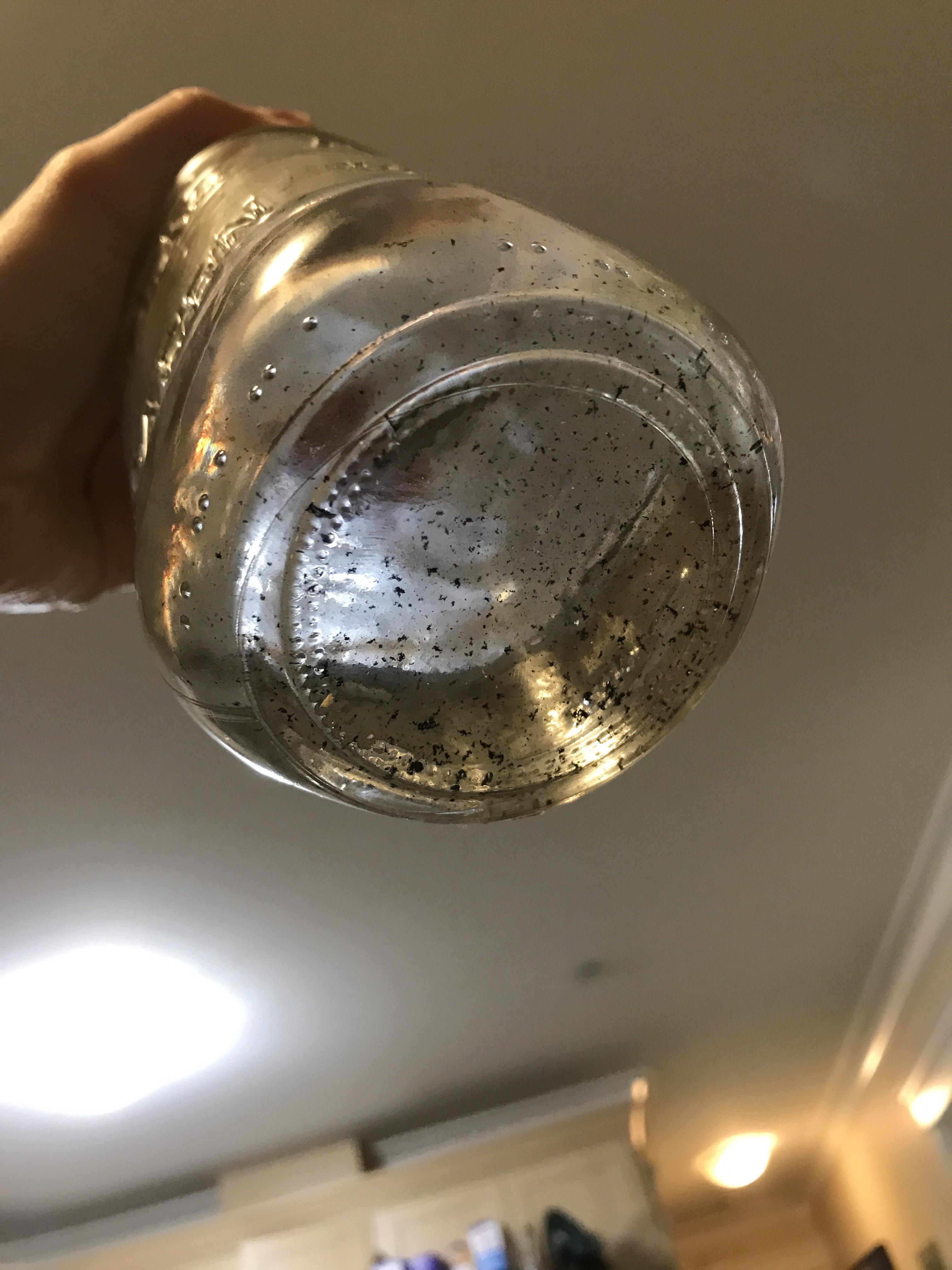 Does anyone recognize what this black sediment is coming from our tap