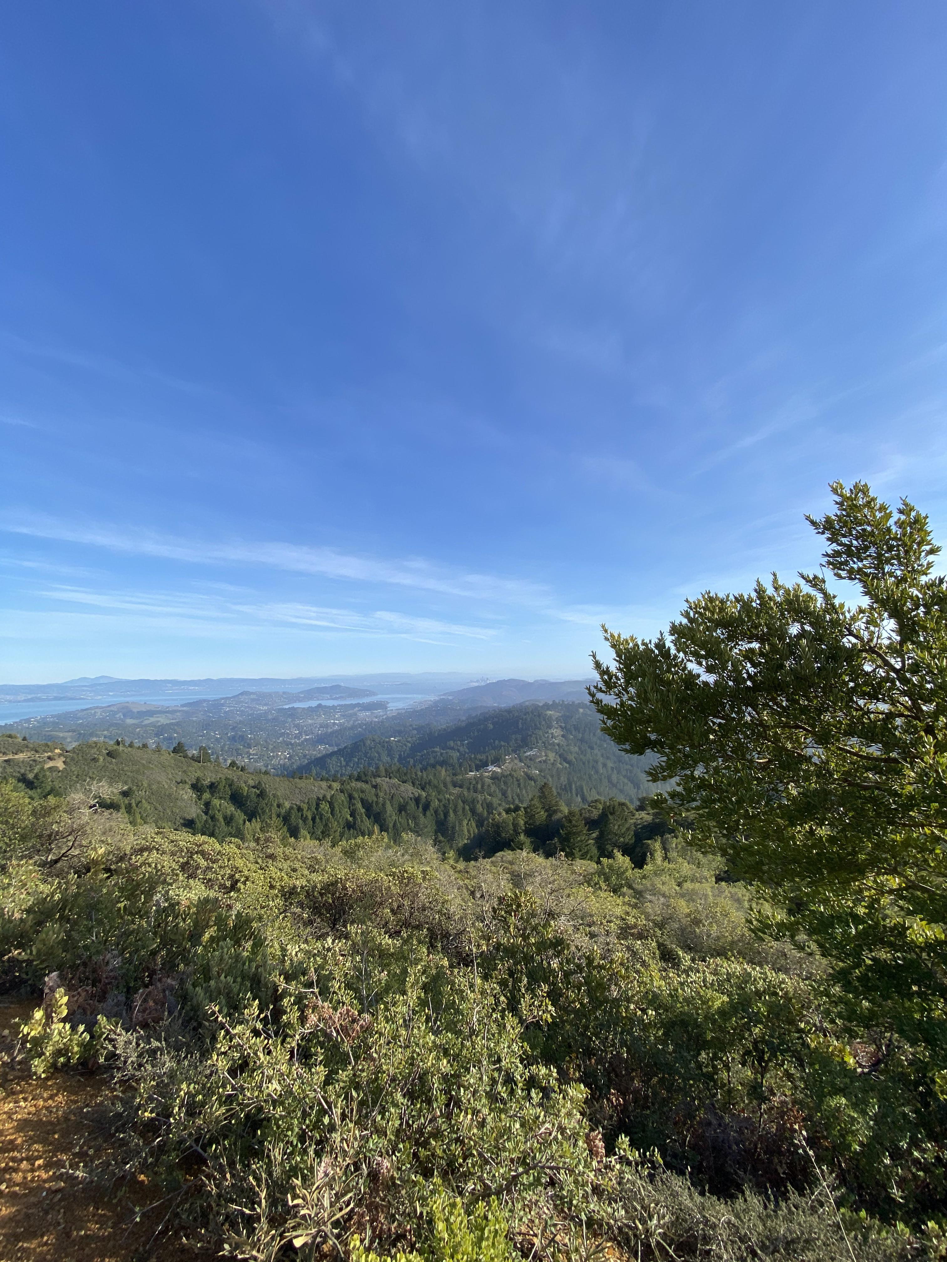Mt Tamalpais State Park r/bayarea