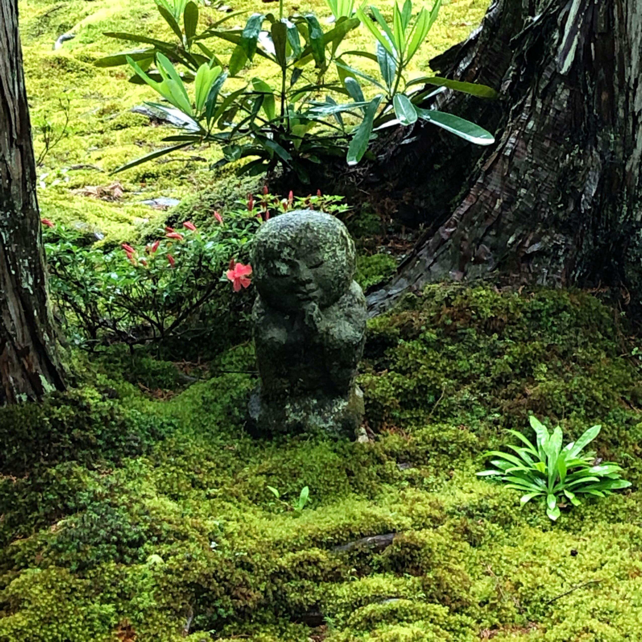 Child Jizō statue sitting in the moss, Sanzen In Temple, Kyoto r