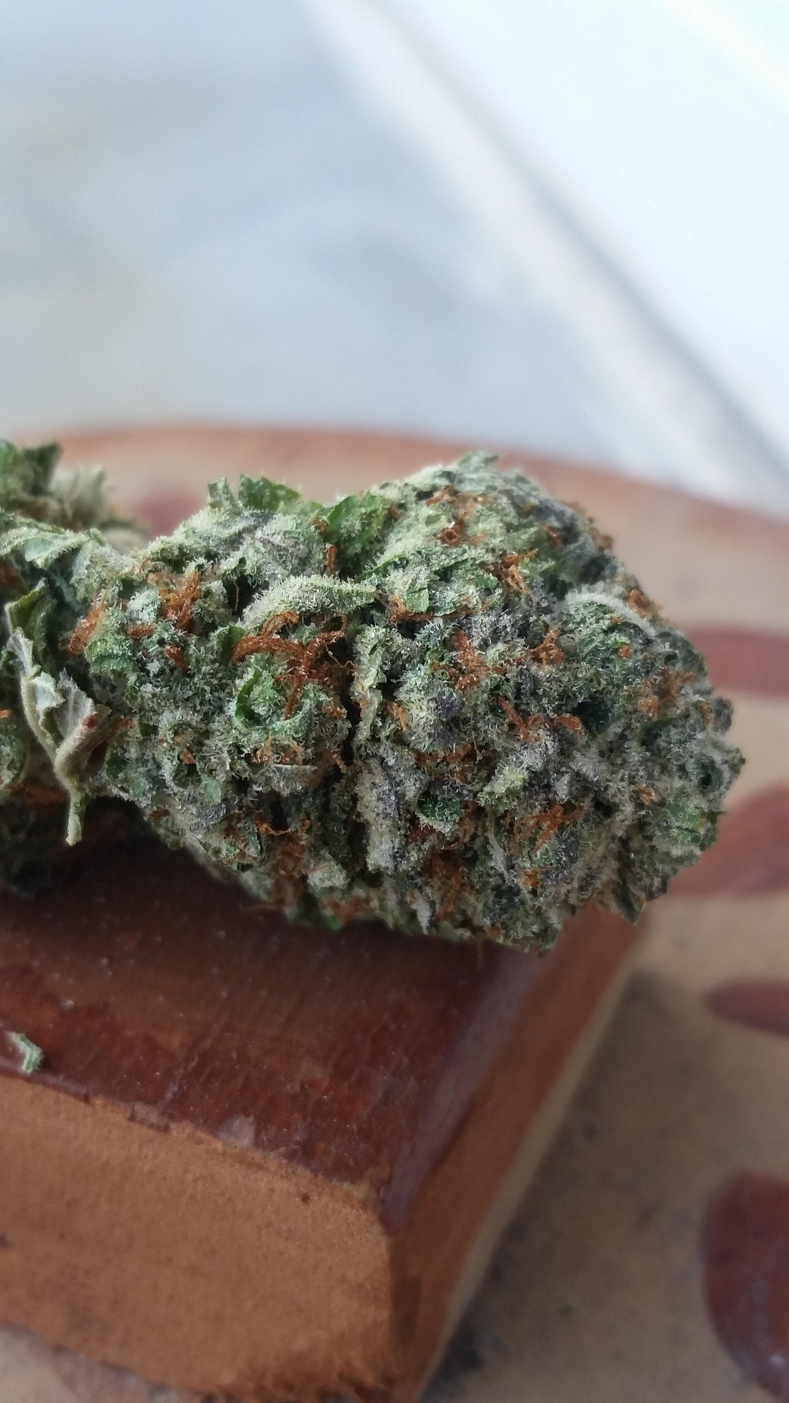 Death Bubba from The Green Ace January 27th 2020 MOMpics