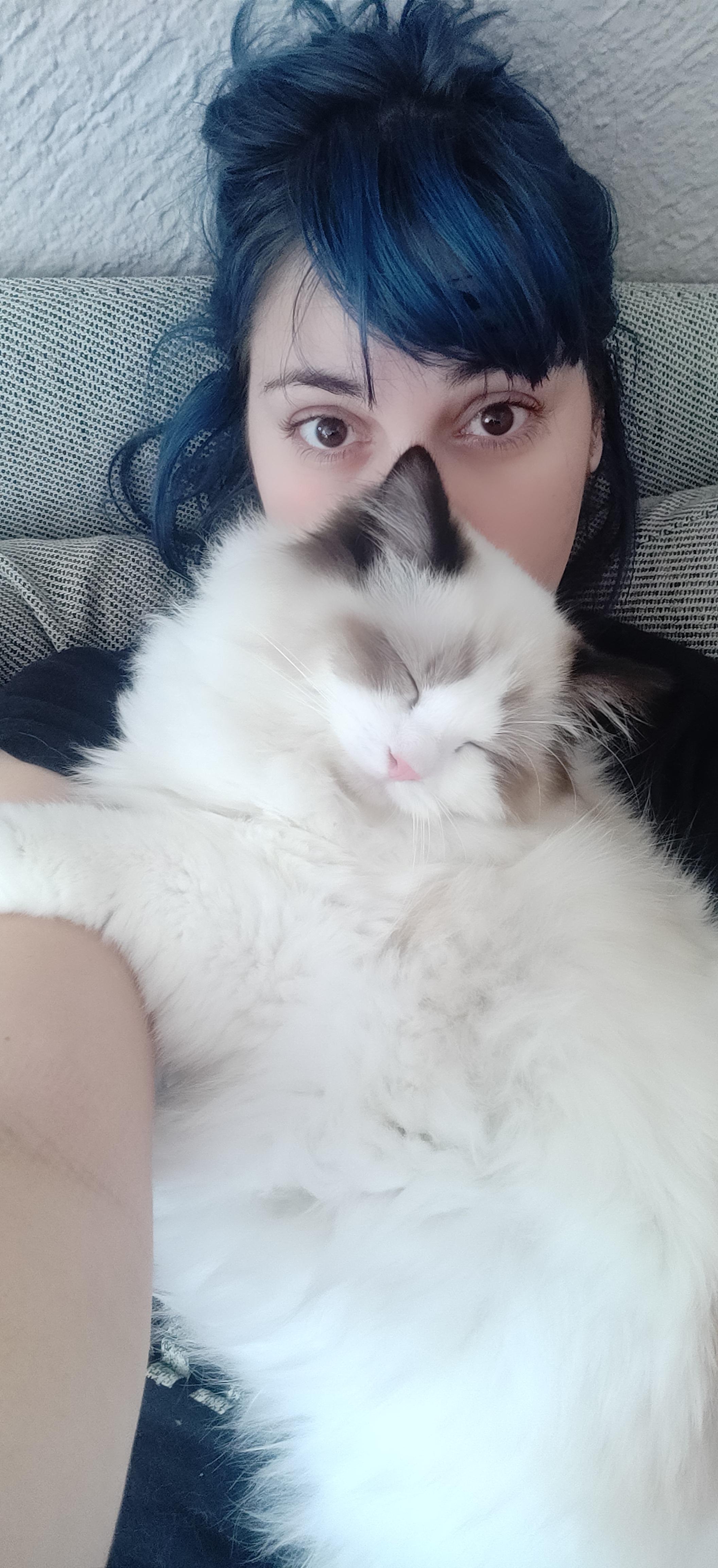My new 4mo extremely clingy boi. I've never inhaled so much cat fur in
