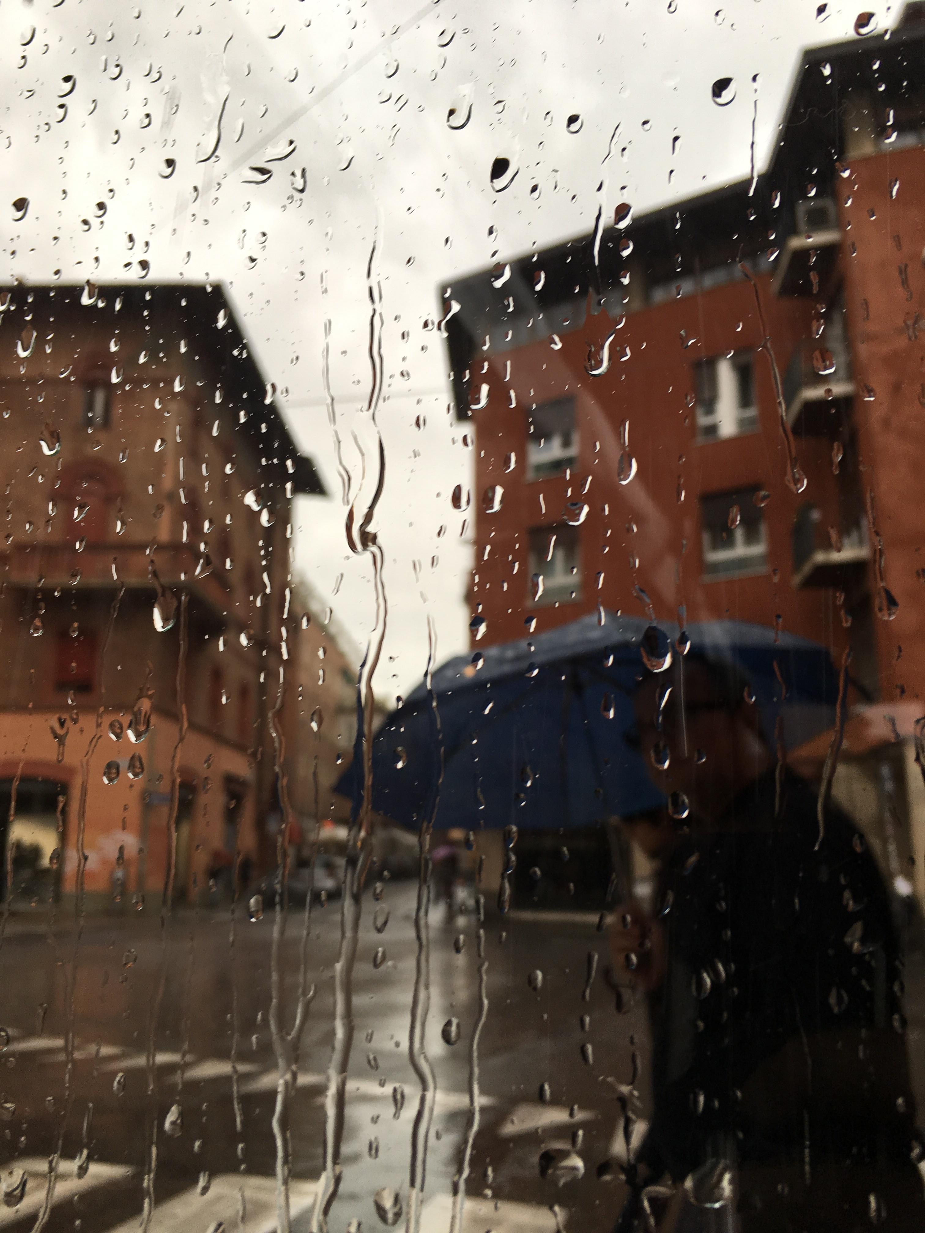 Rain and thunder earlier today in Bologna, Italy r/raining