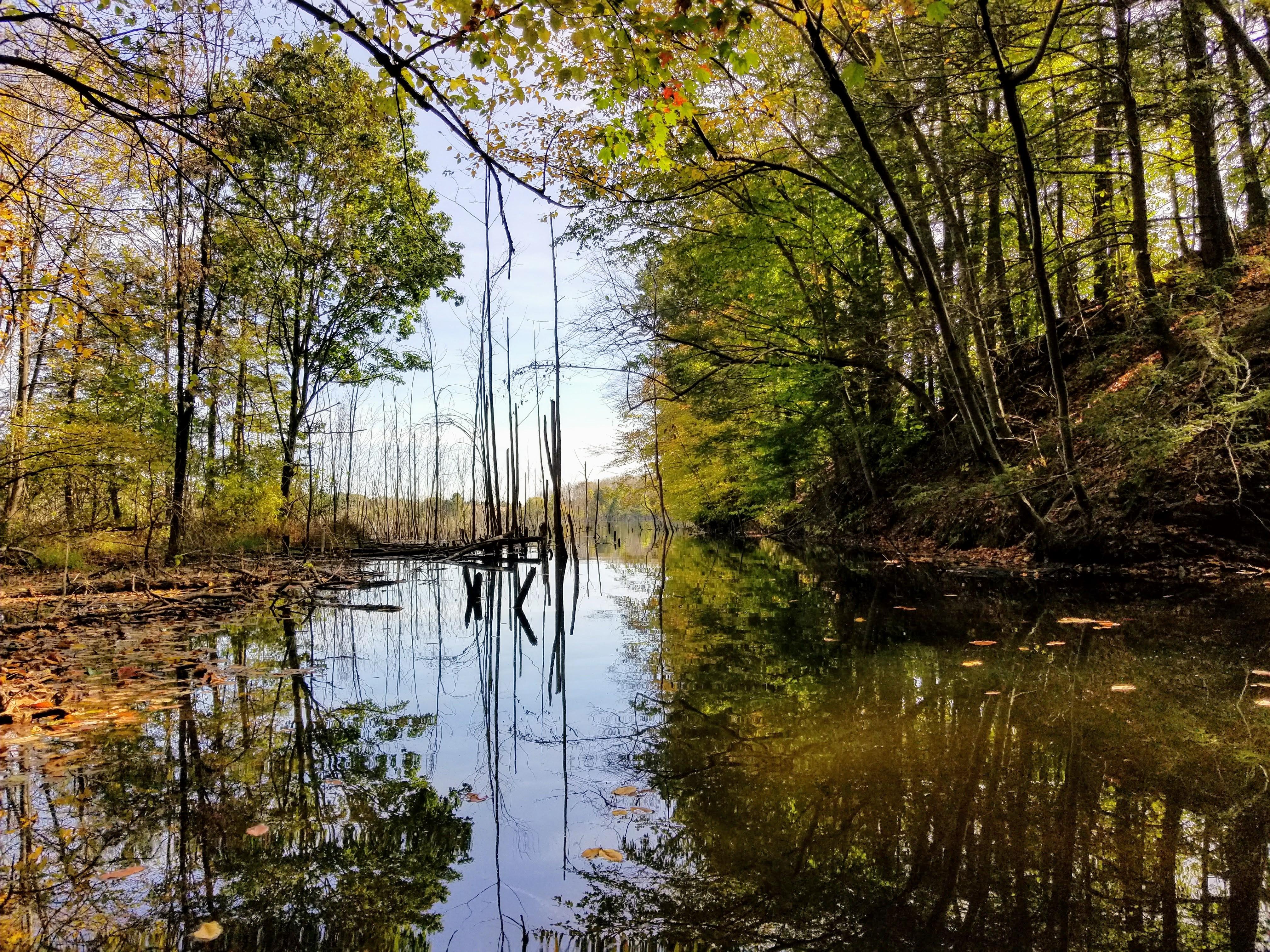 Leaser Lake New Tripoli, PA [OC] [4032x3024] r/EarthPorn