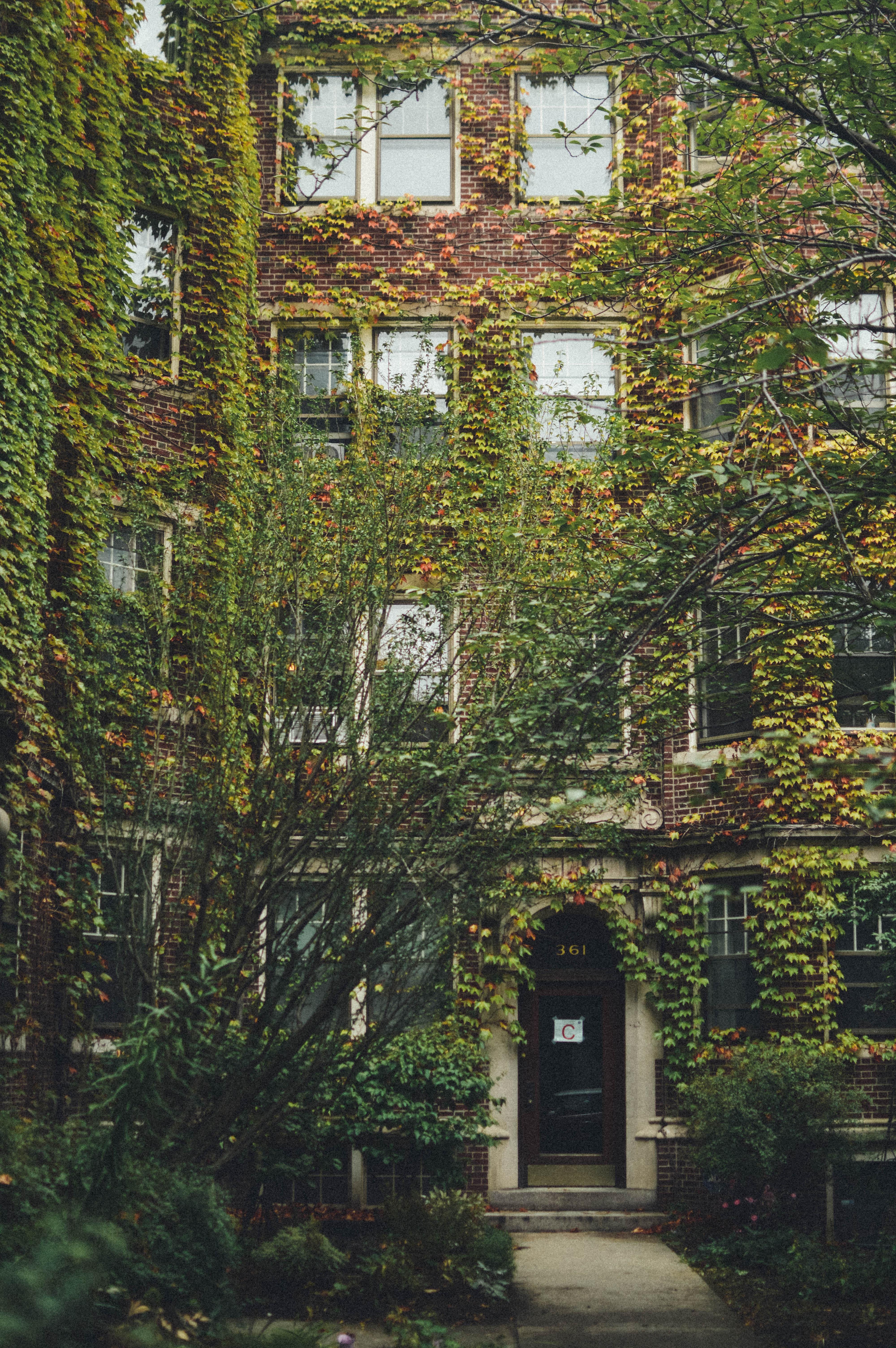 Harvard Street, Cambridge, Massachusetts pic