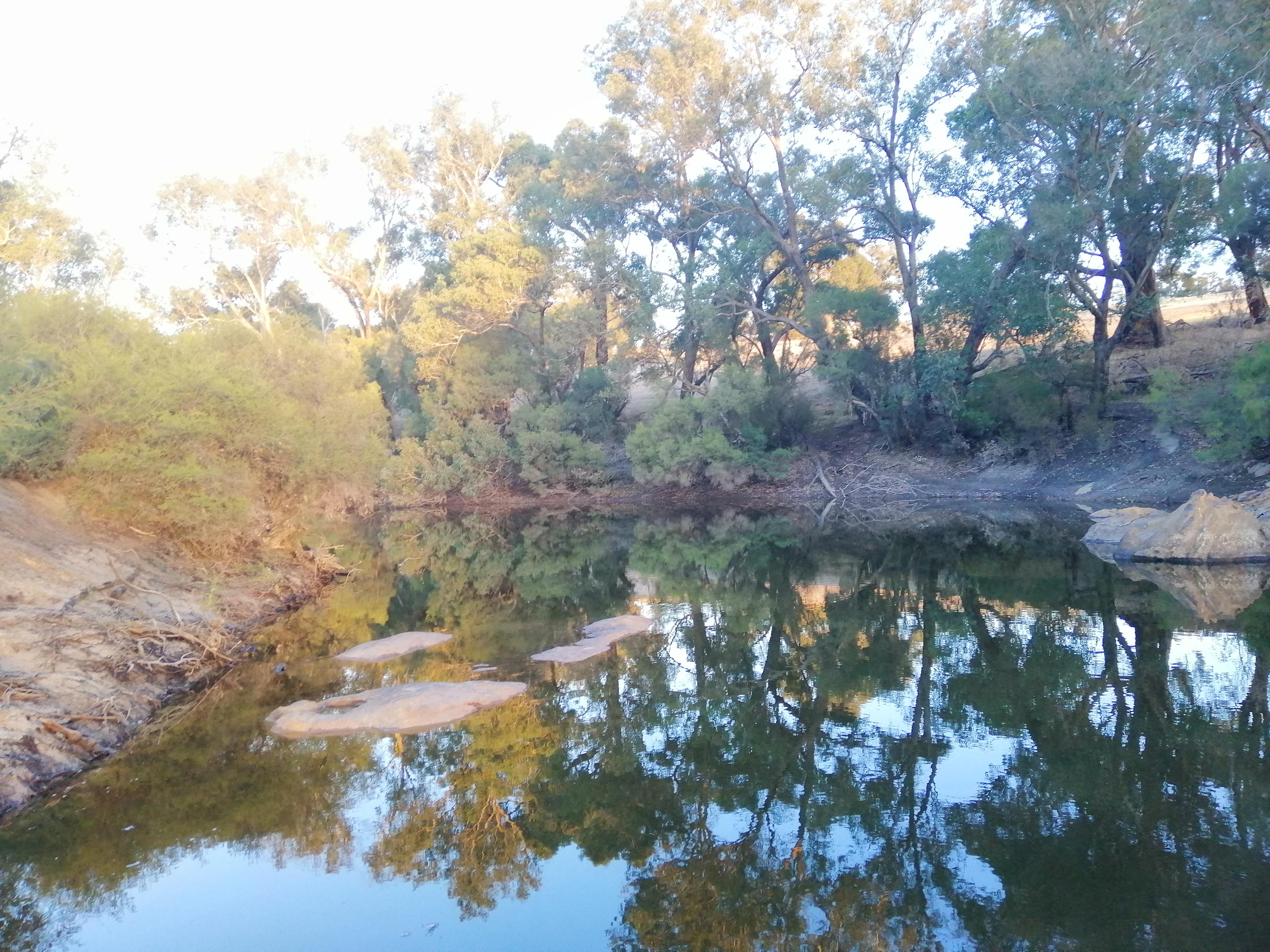 Another picture of the blackwood river r/perth