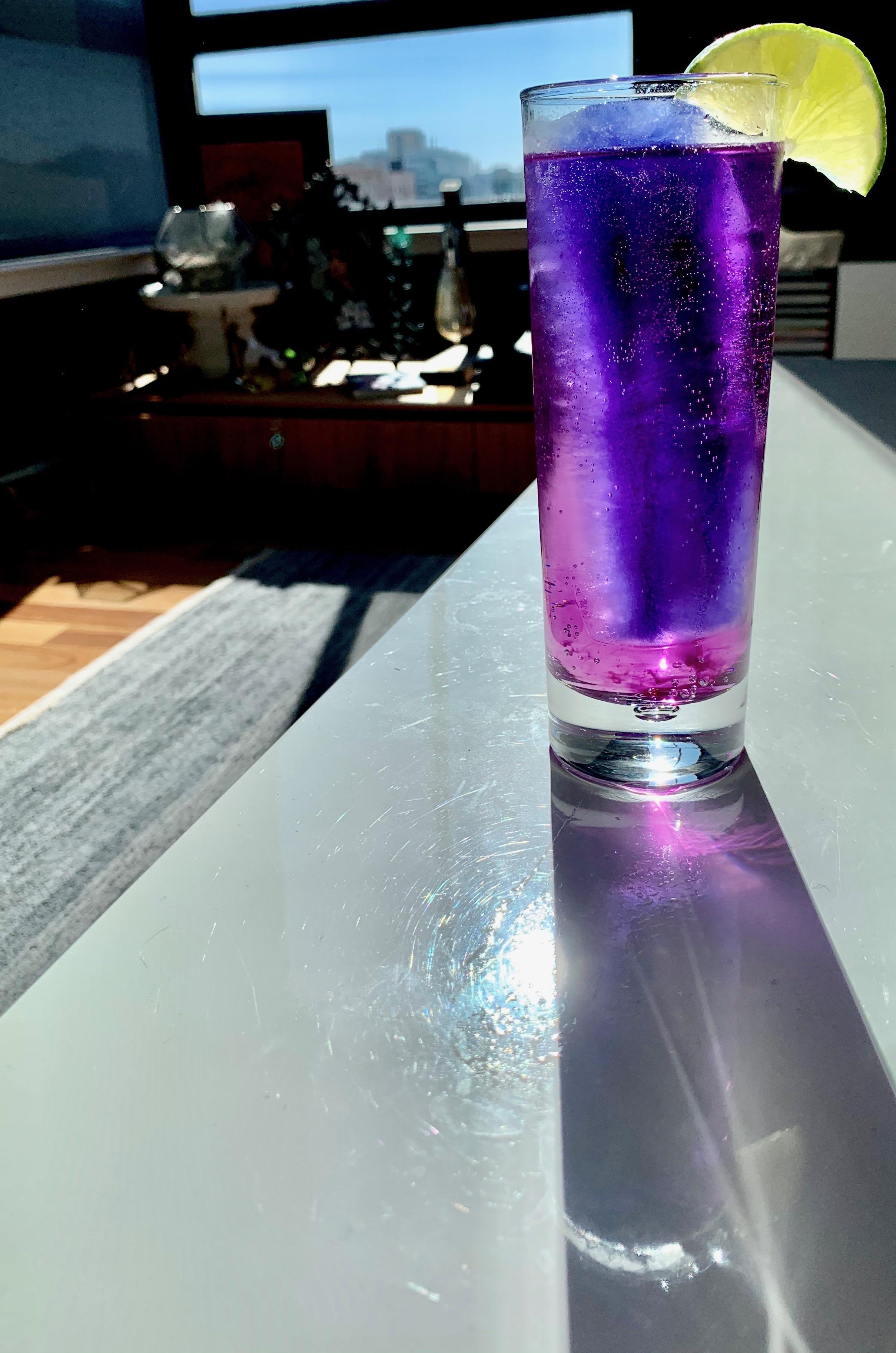 Gin and Tonic with Butterfly Pea Blossom Ice r/cocktails