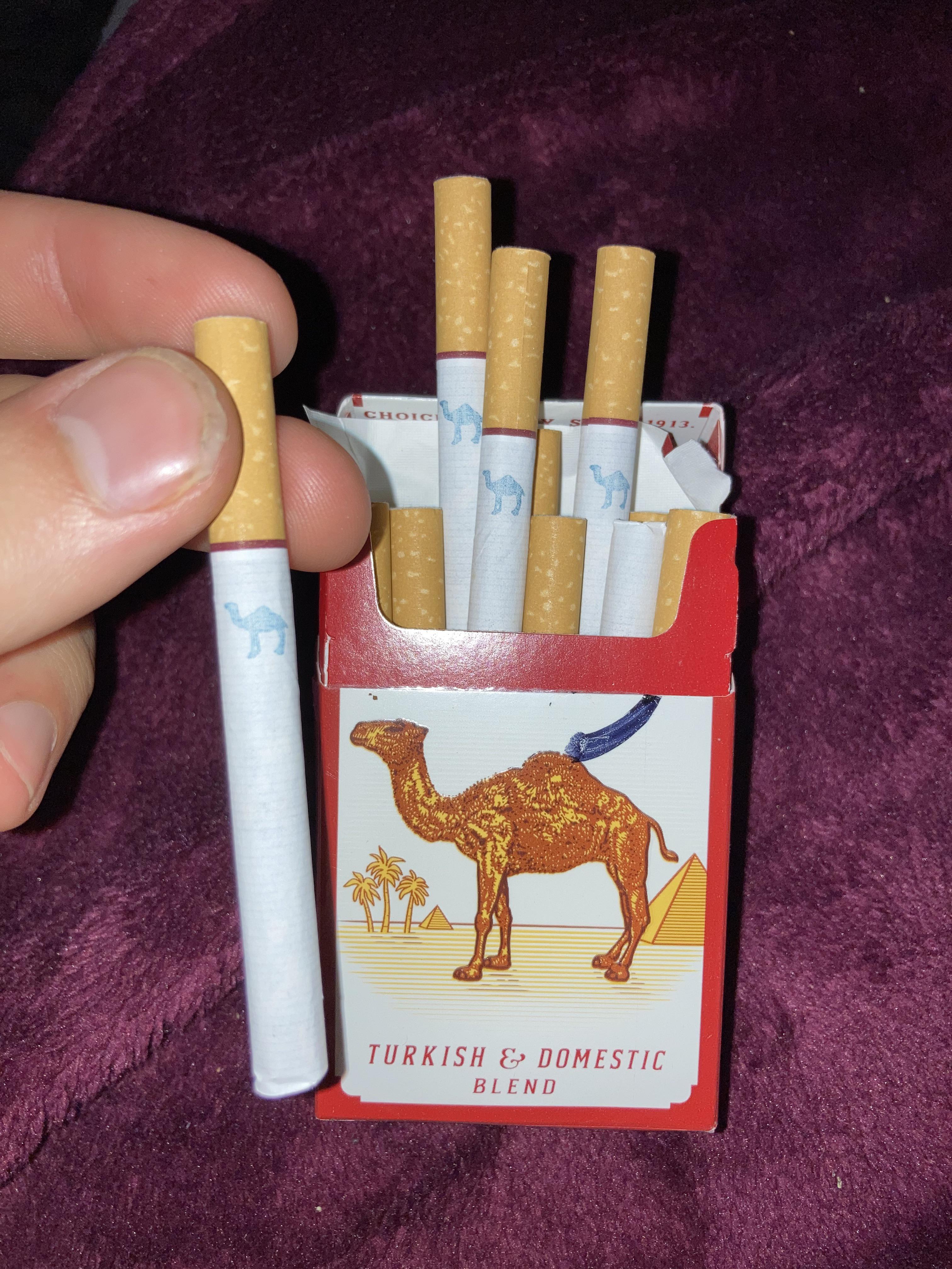 Just me or does this camel look a little too big 🤔 could these be fake