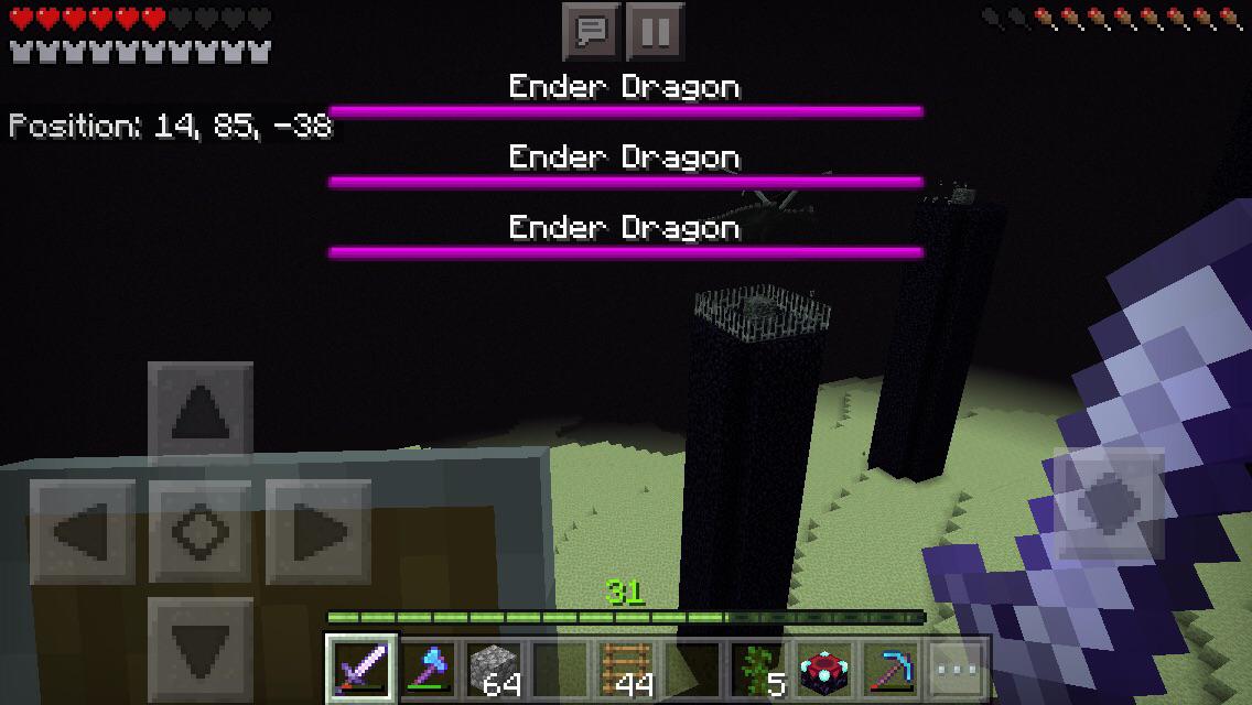 Went in to fight the Ender dragon and this happened r/Minecraft