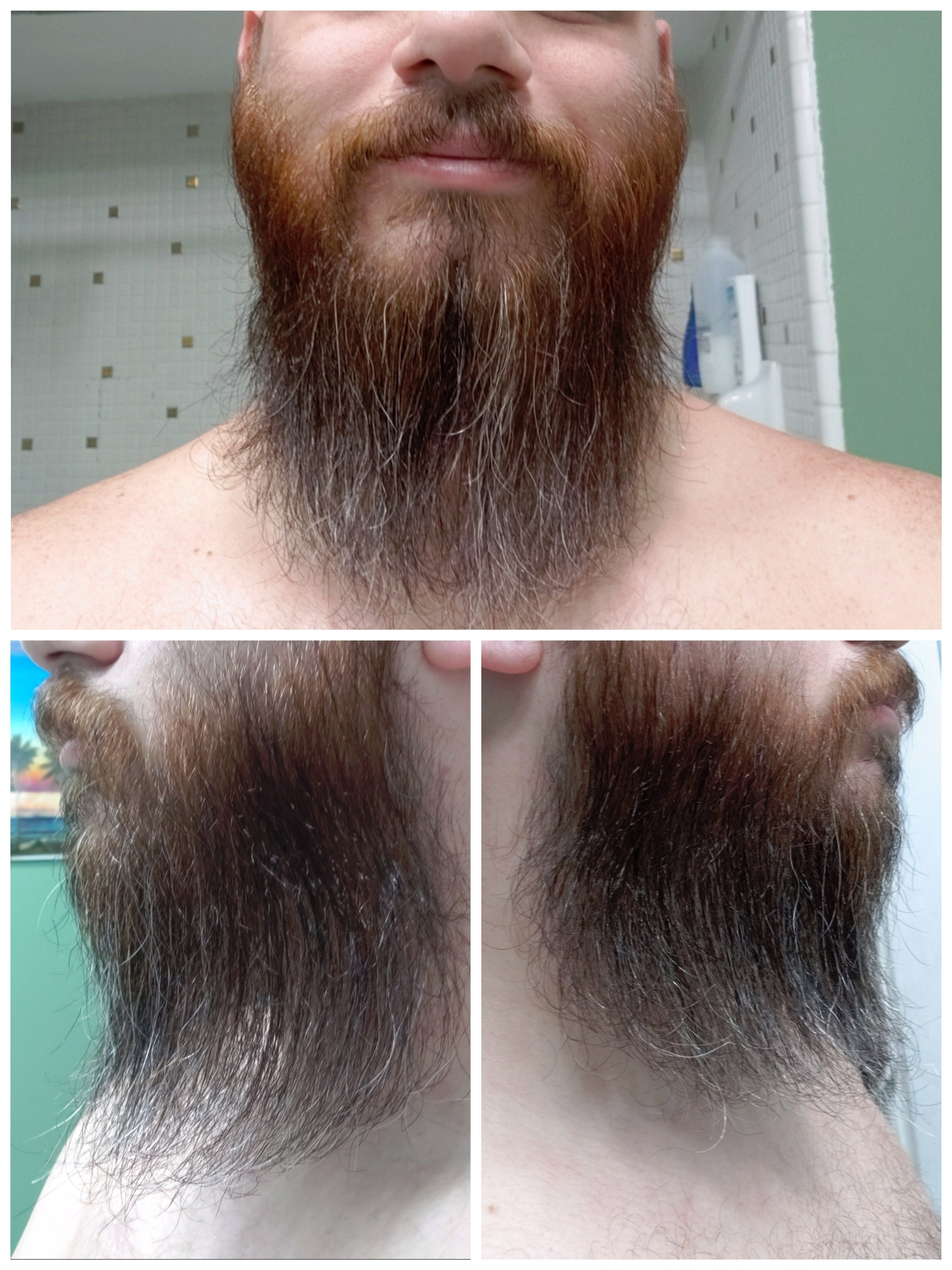 Grow, Trim or Shave? Can't decide where to go from here. Aiming for mid