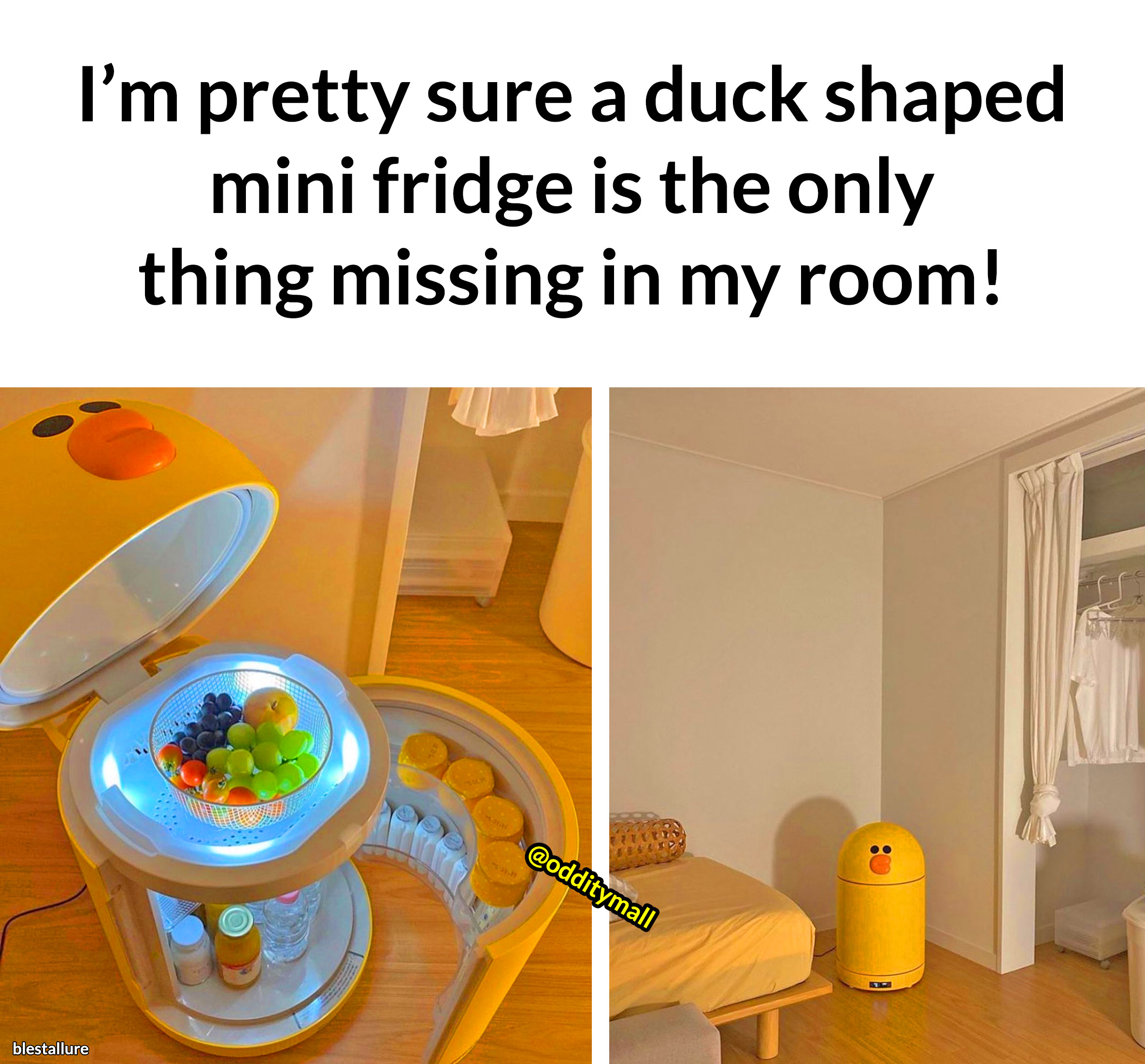 Mini Duck Fridge r/OddityMall