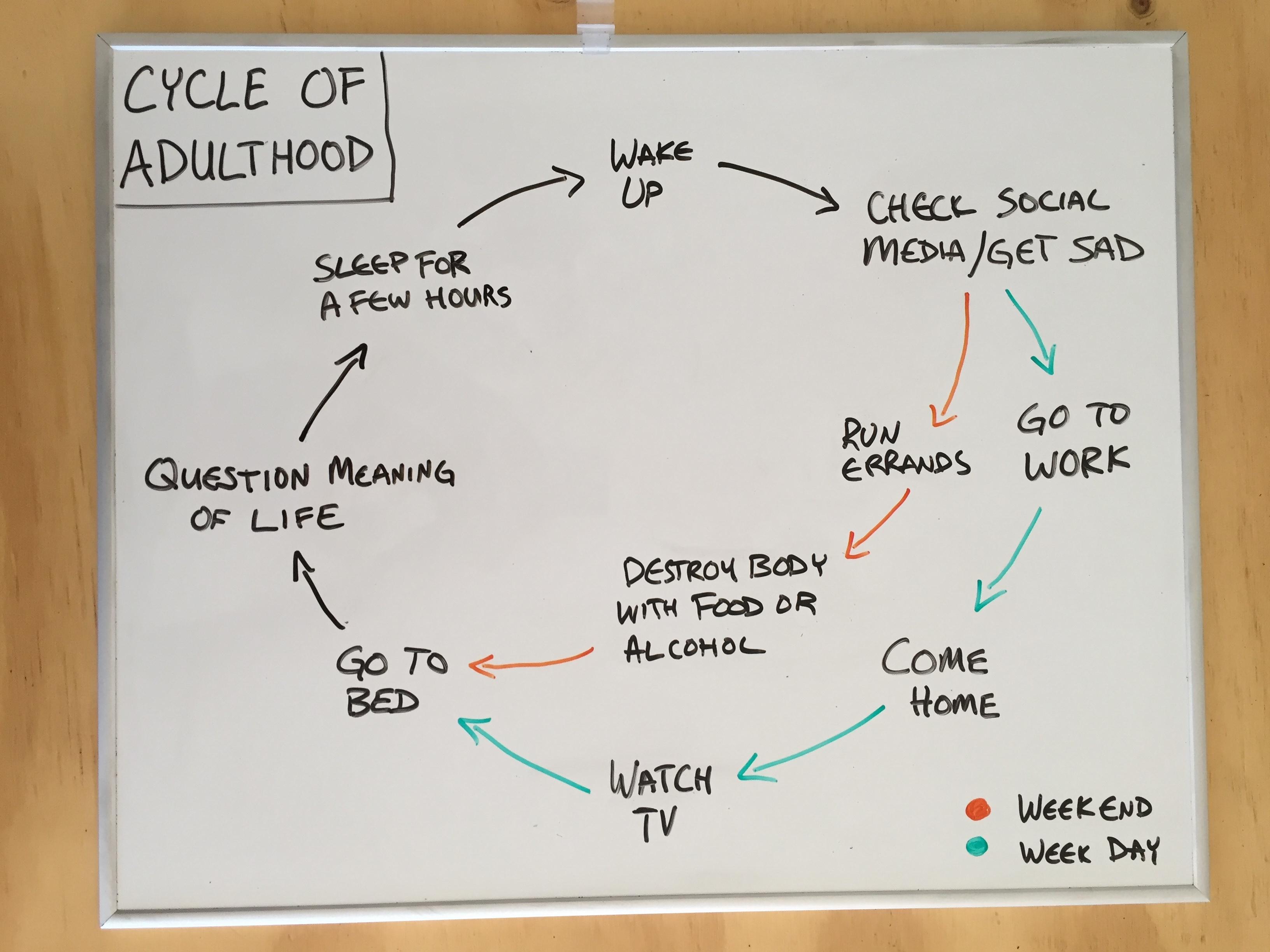 Cycle of adulthood r/funny