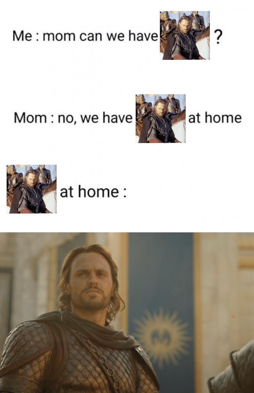 You bow to no one : r/lotrmemes