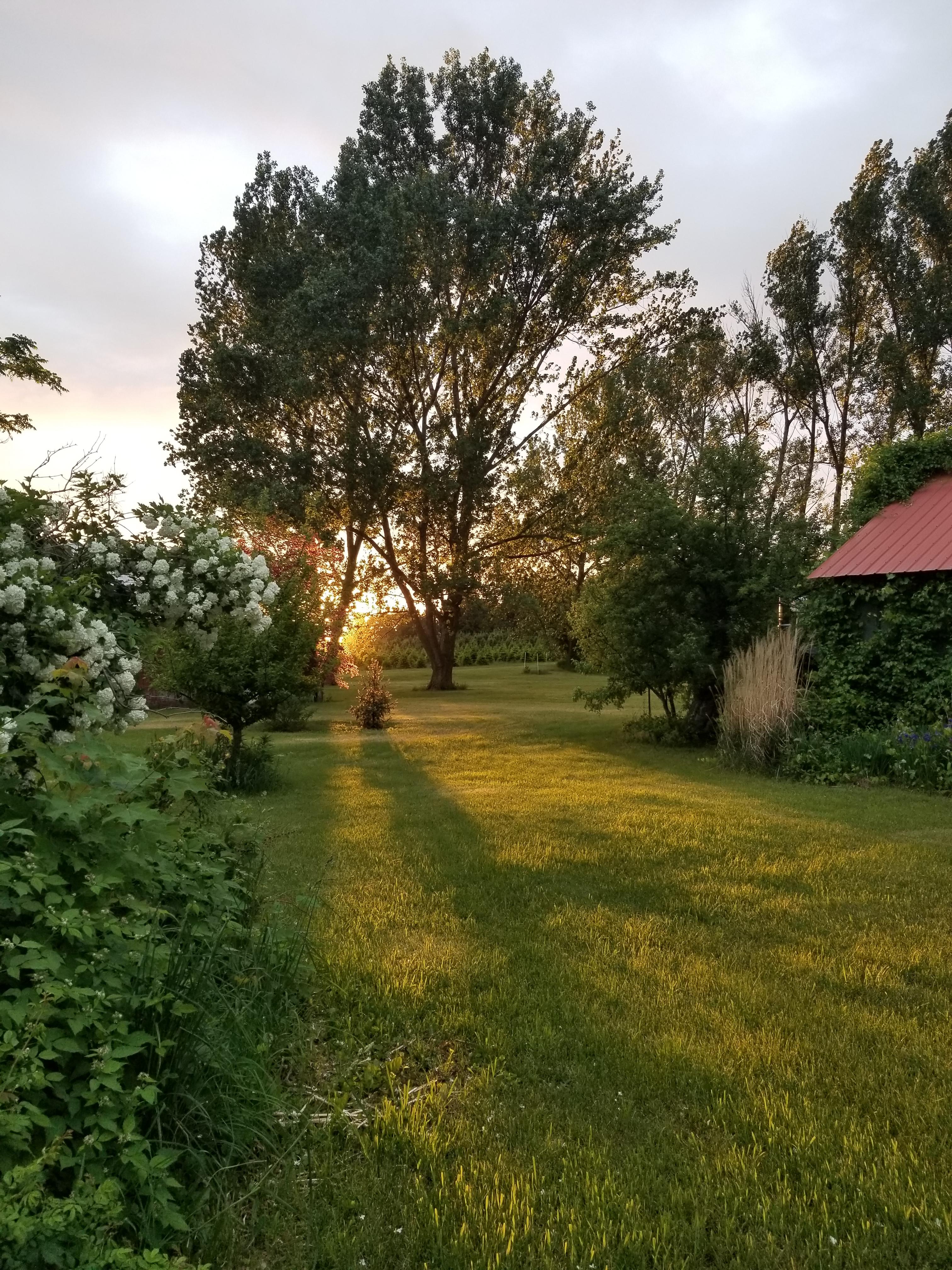 Hart, MI. I felt like I was in the Shire when I took this picture. An