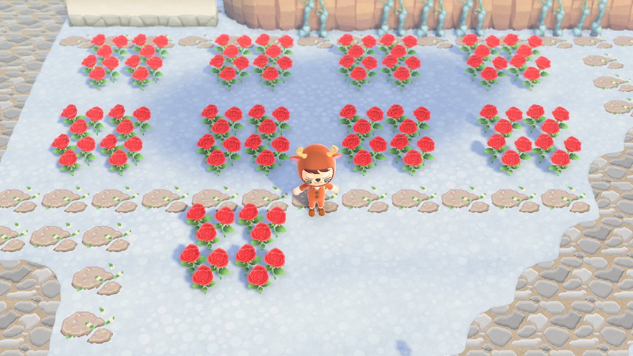 Blue rose question. I'm using the 4 step method. These are from pink