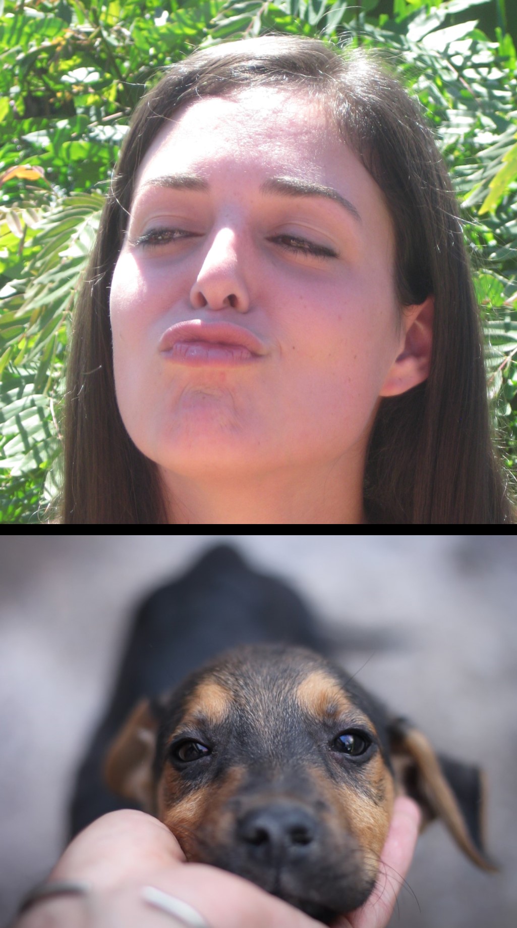 Scrunching up your face when petting a doggy's chin. r/Relatable