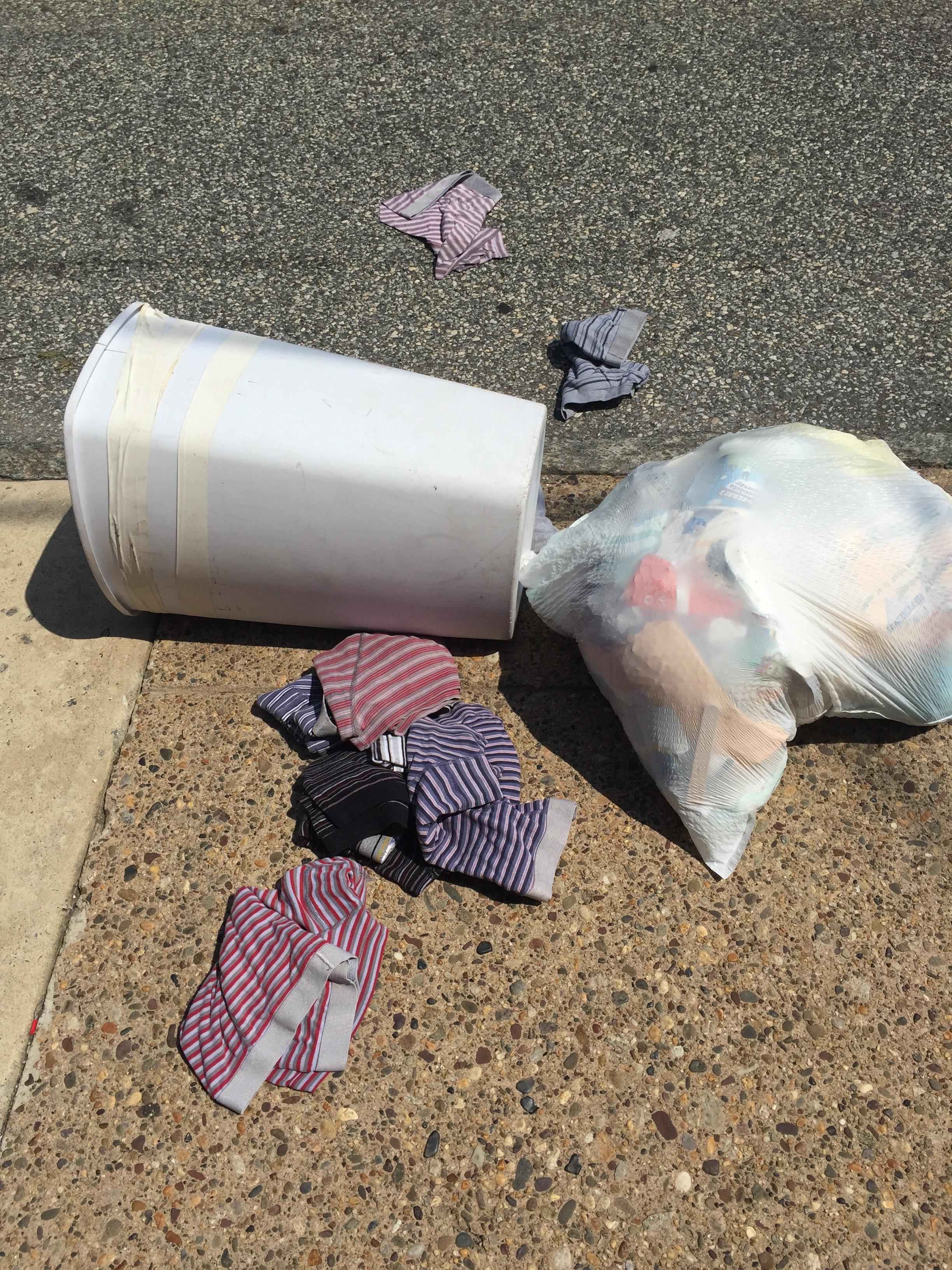 Update underwear is not an acceptable recyclable for the recycling