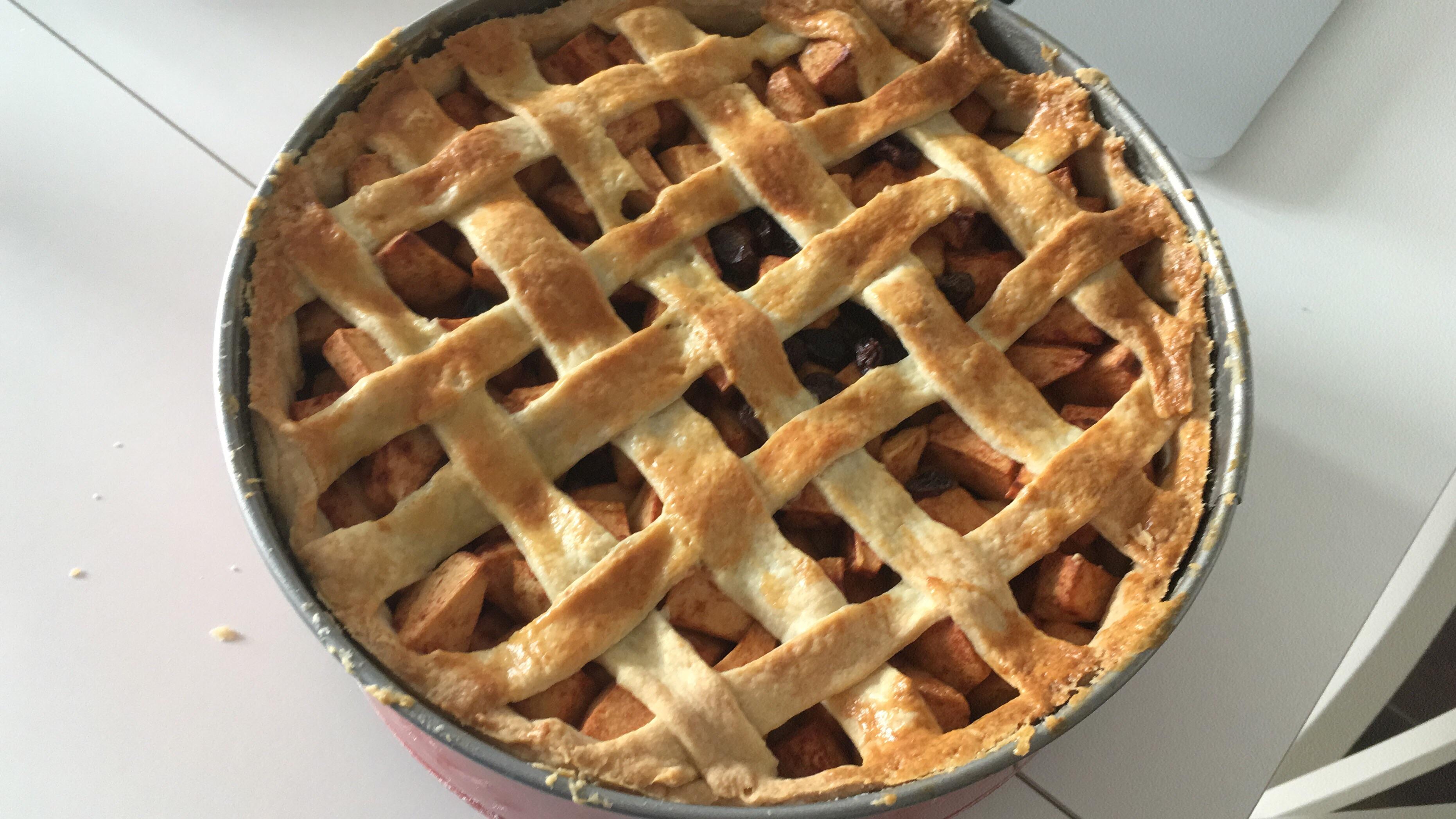 [Homemade] Classic Dutch Apple Pie r/food