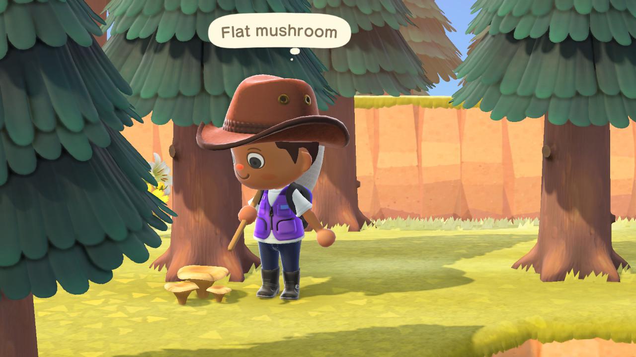 Its Mushroom Season on the Southern Hemisphere r/AnimalCrossing