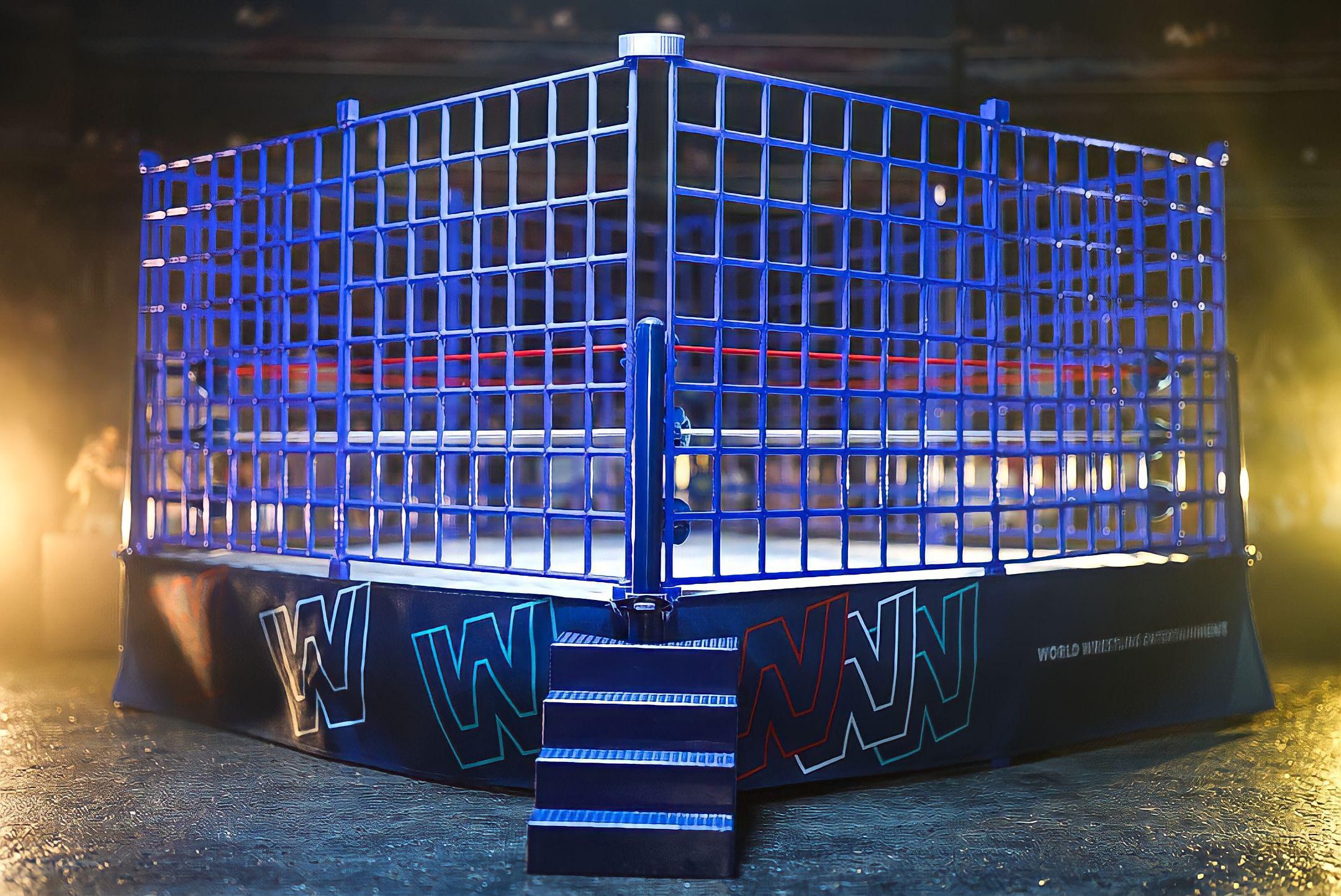 I’ve shared a couple images of the work my friend CustomToyRings has