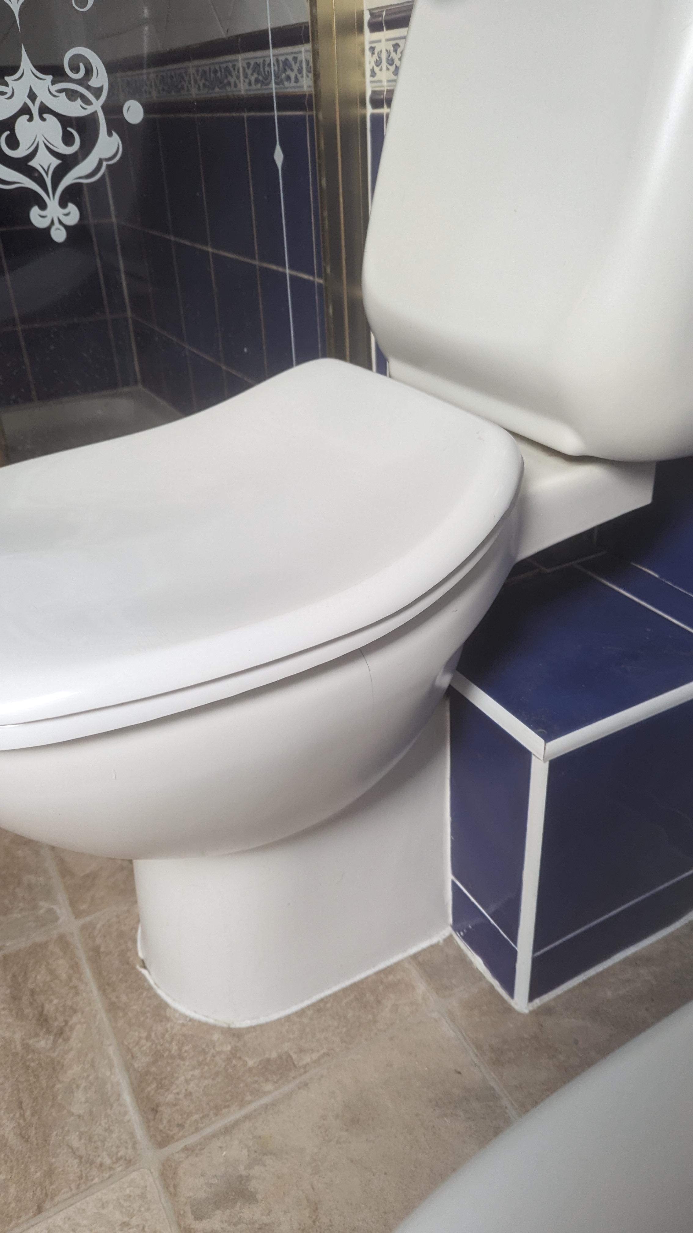 How can I replace this toilet seat? r/DIYUK