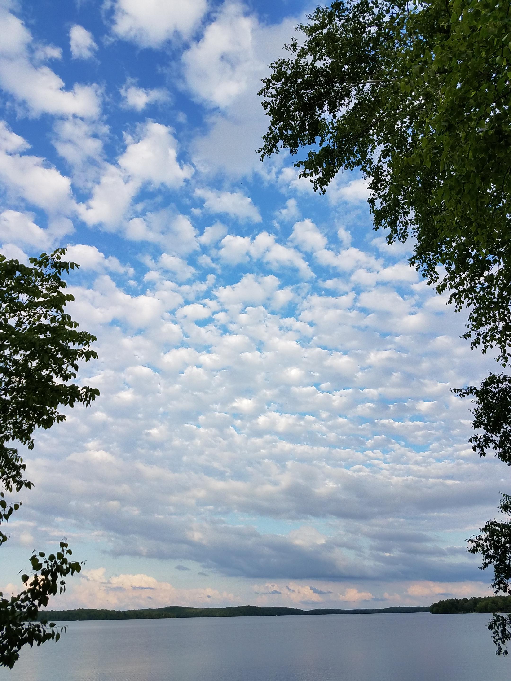 Nelson Lake outside of Hayward, WI r/wisconsin