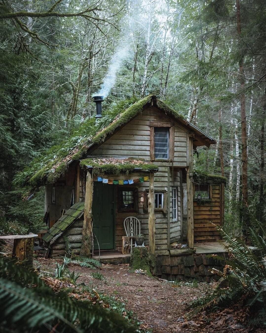 Magic forest cottage vibes. Bonus points if there's an alchemist in the