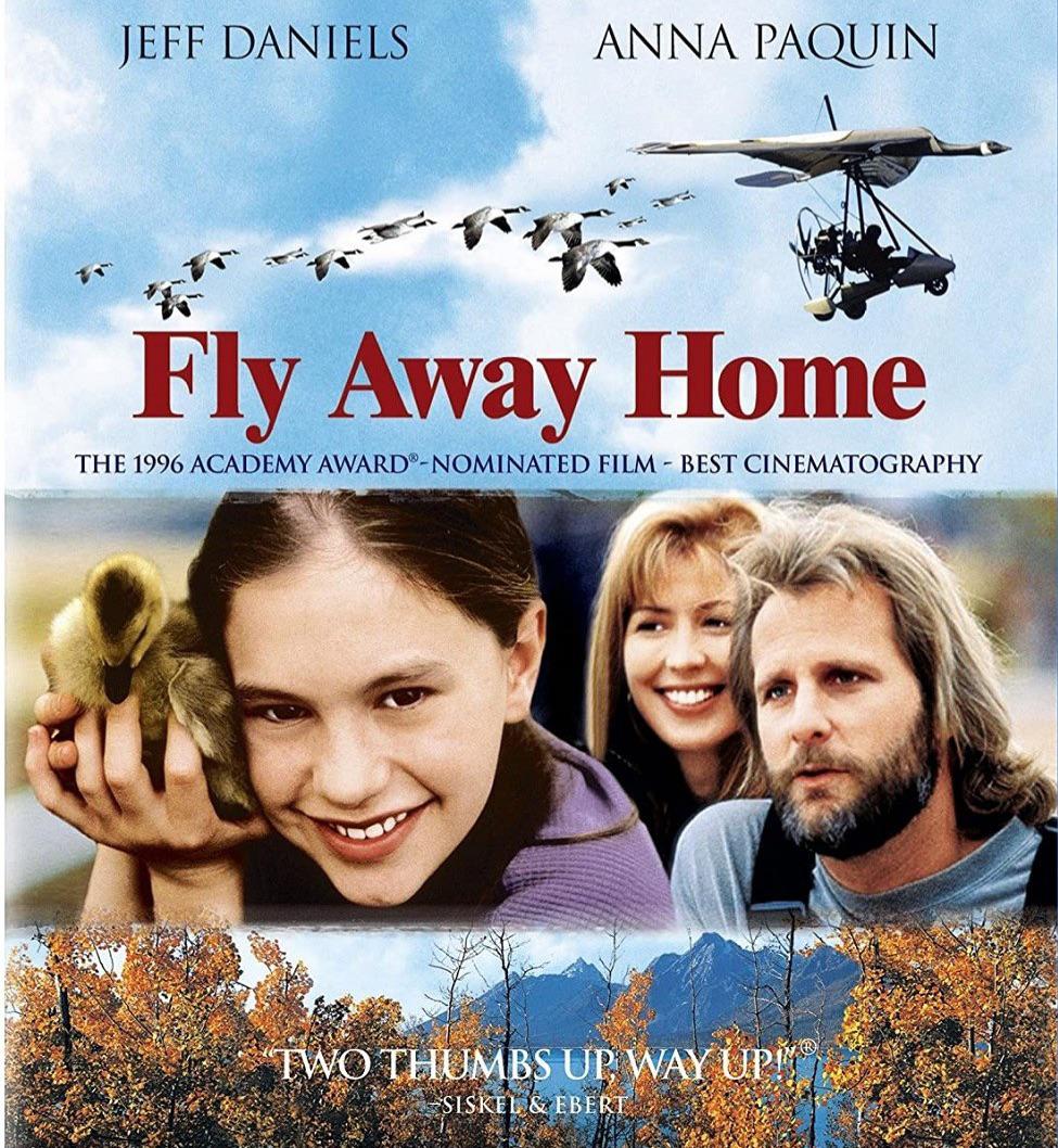 Fly Away Home still hits me in the feels… nostalgia