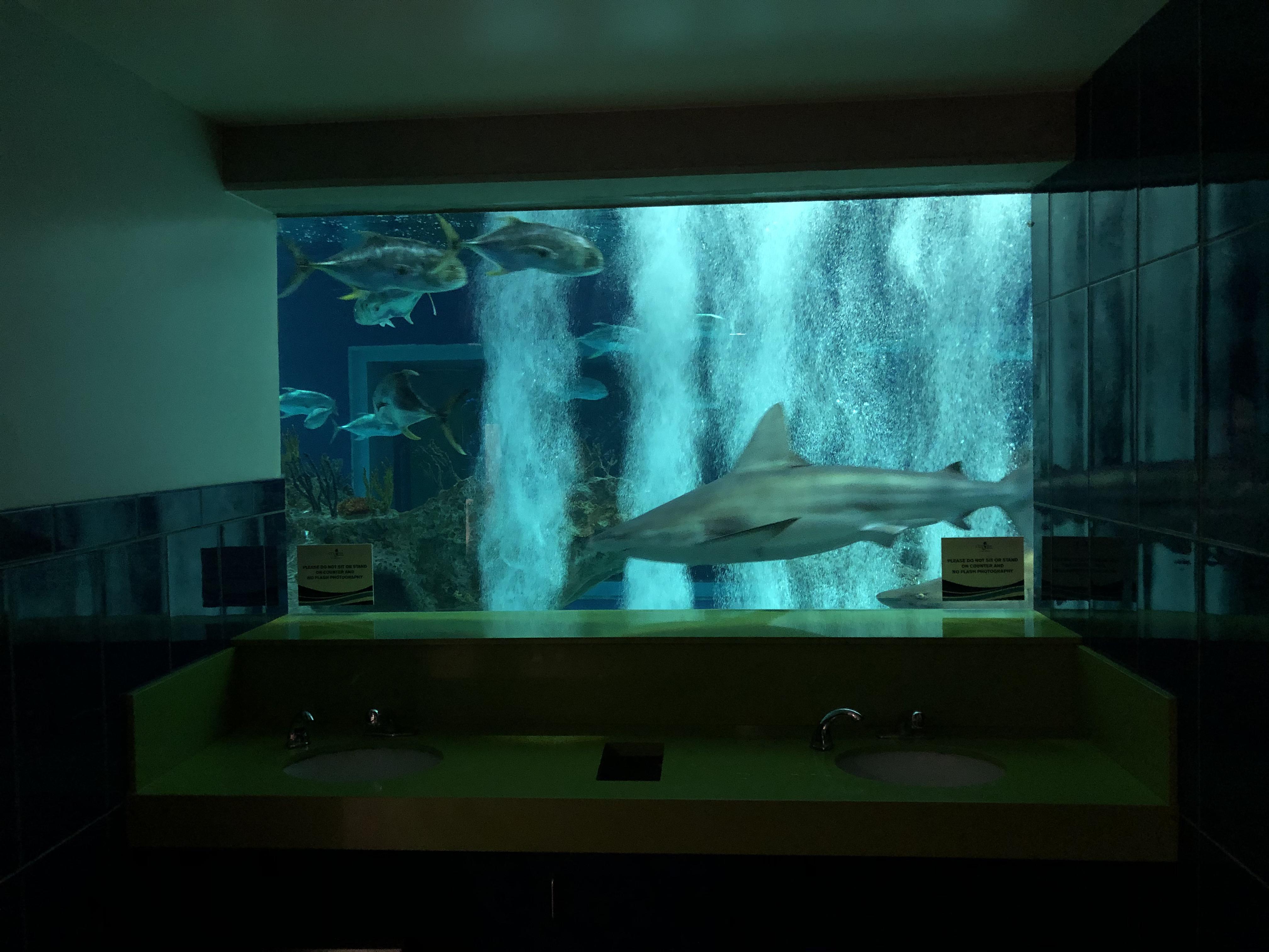 Instead of a mirror the bathrooms at OdySea in Scottsdale, AZ have a