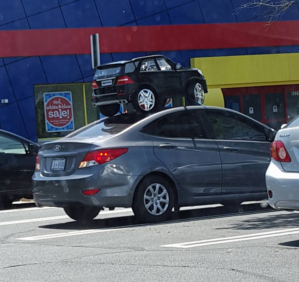 Rare sighting of a mama car carrying her young on her back. r/funny