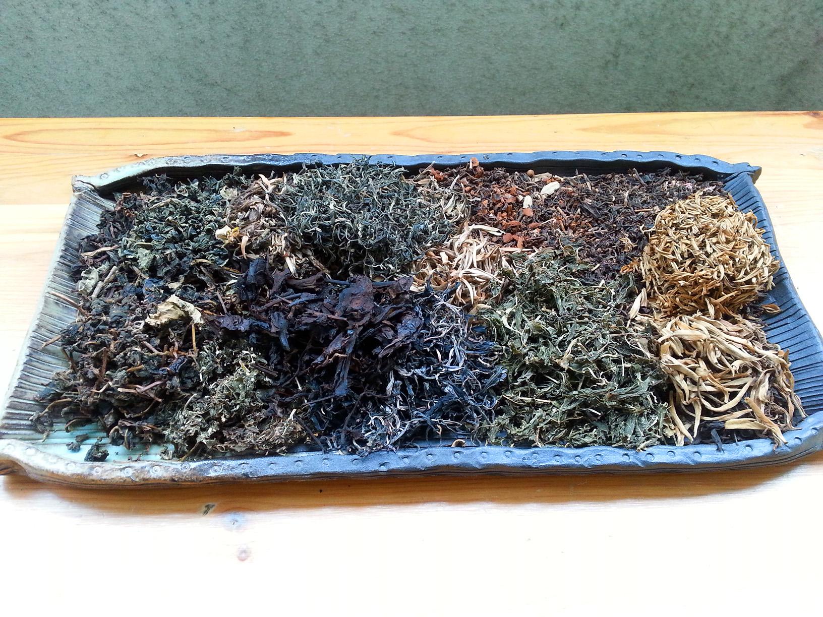 This is what I do to my used tea leaves. Can you recognize any of the
