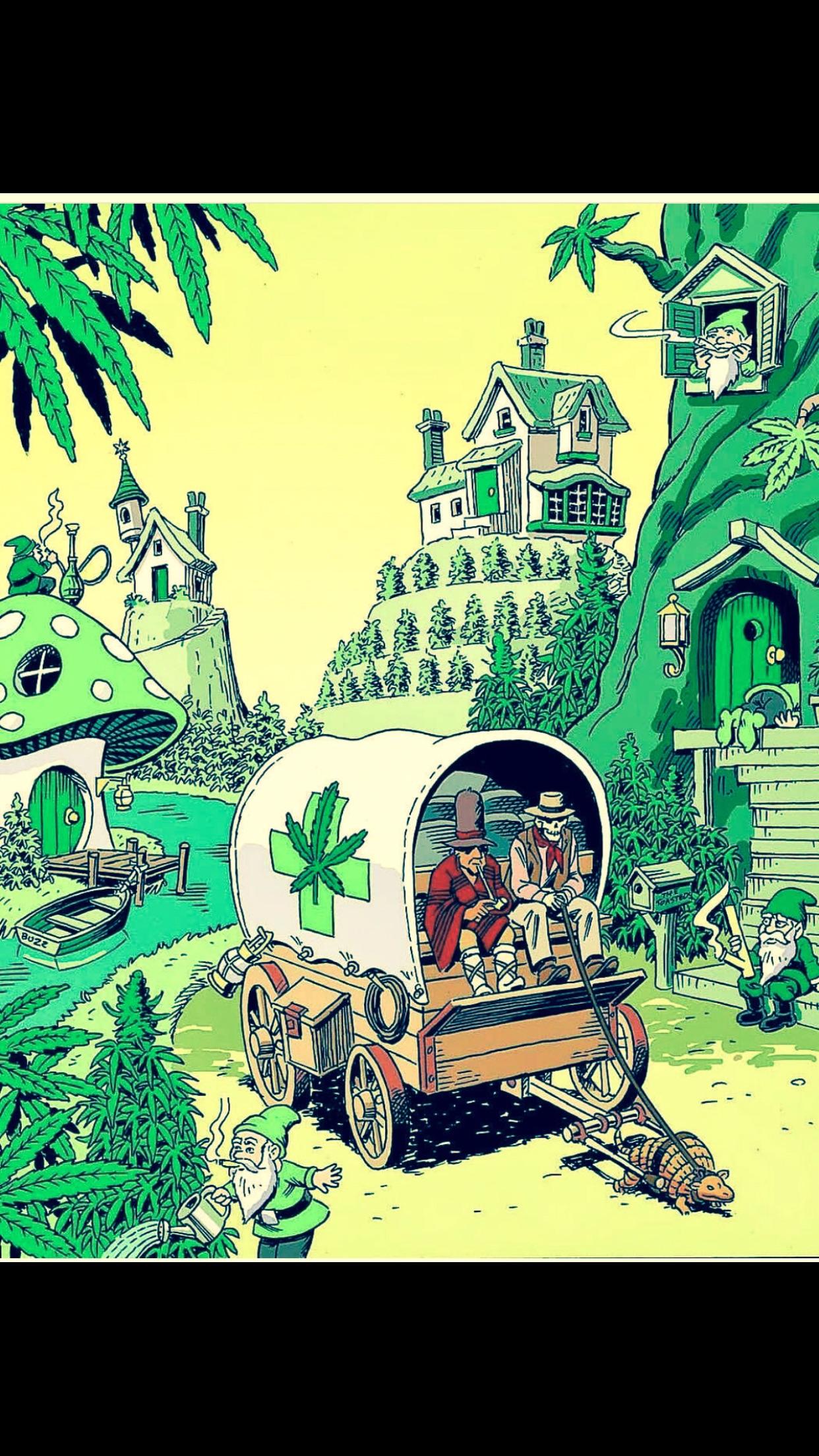 My idea of a perfect world 🌎 r/trees