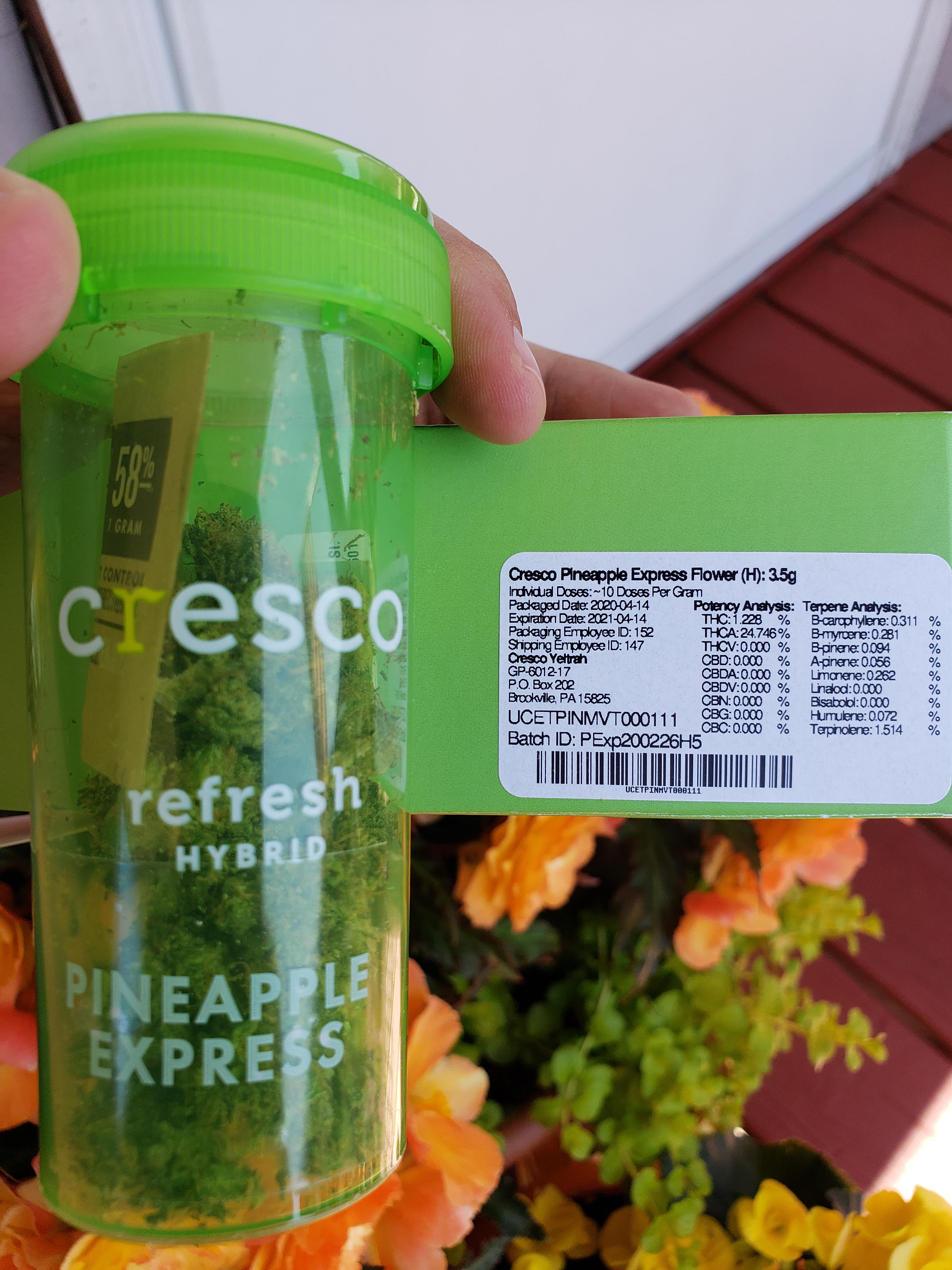 Earliest Bird Gets the Worm. Pineapple Express From Cresco, Got the