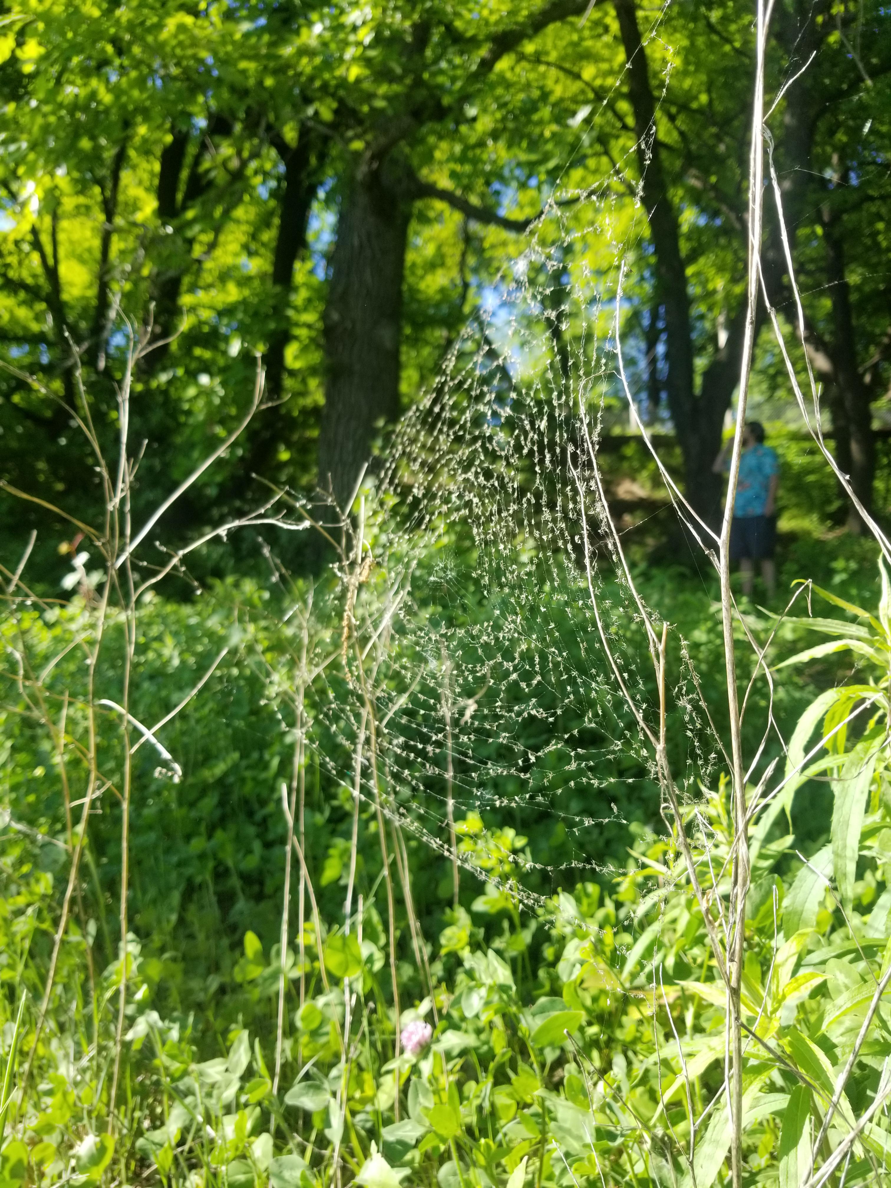 Bray Park, Madison Lake MN r/minnesota