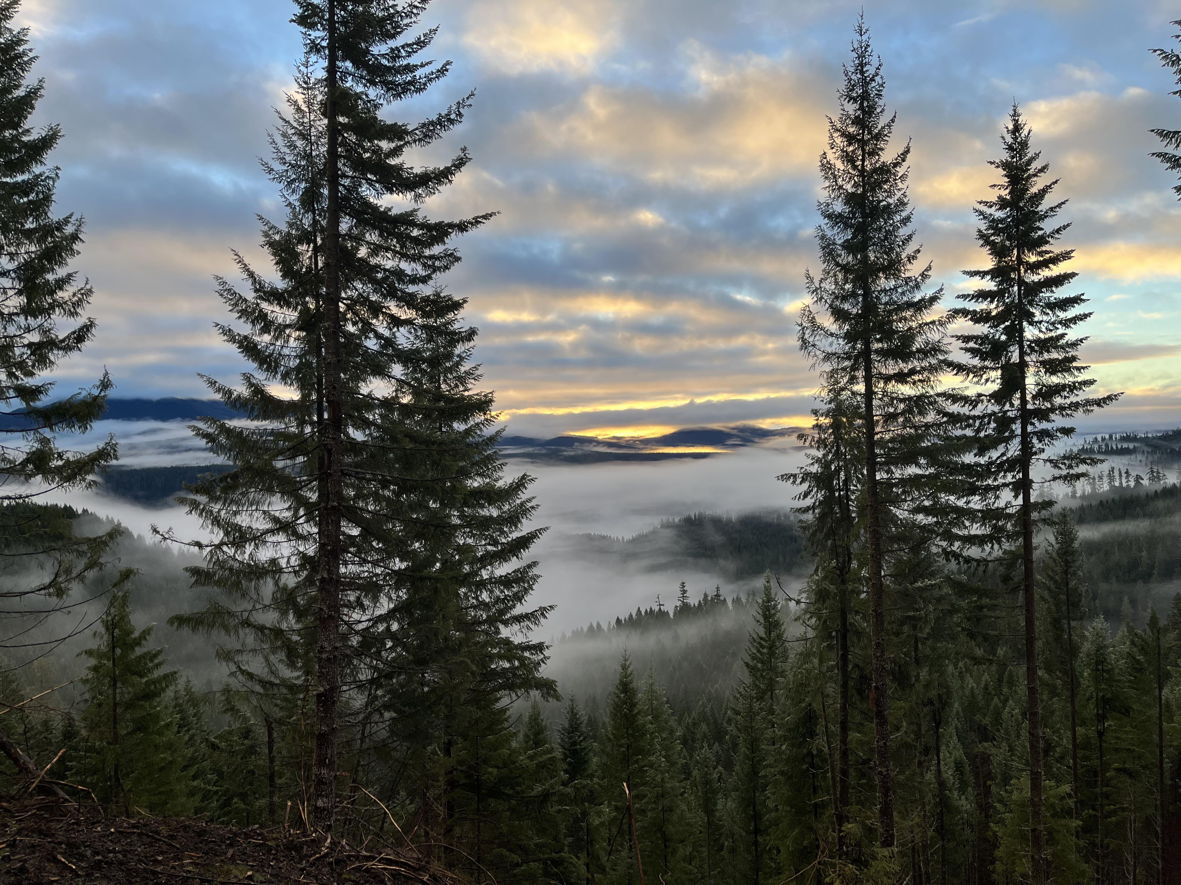 Westfir Oregon r/Outdoors