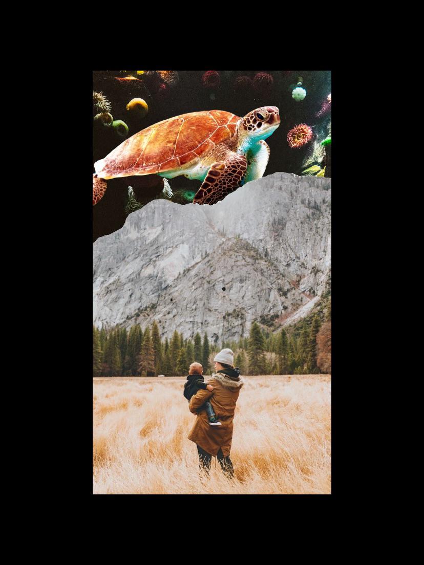 Turtle,Me,Digital,2020 SurrealismArt
