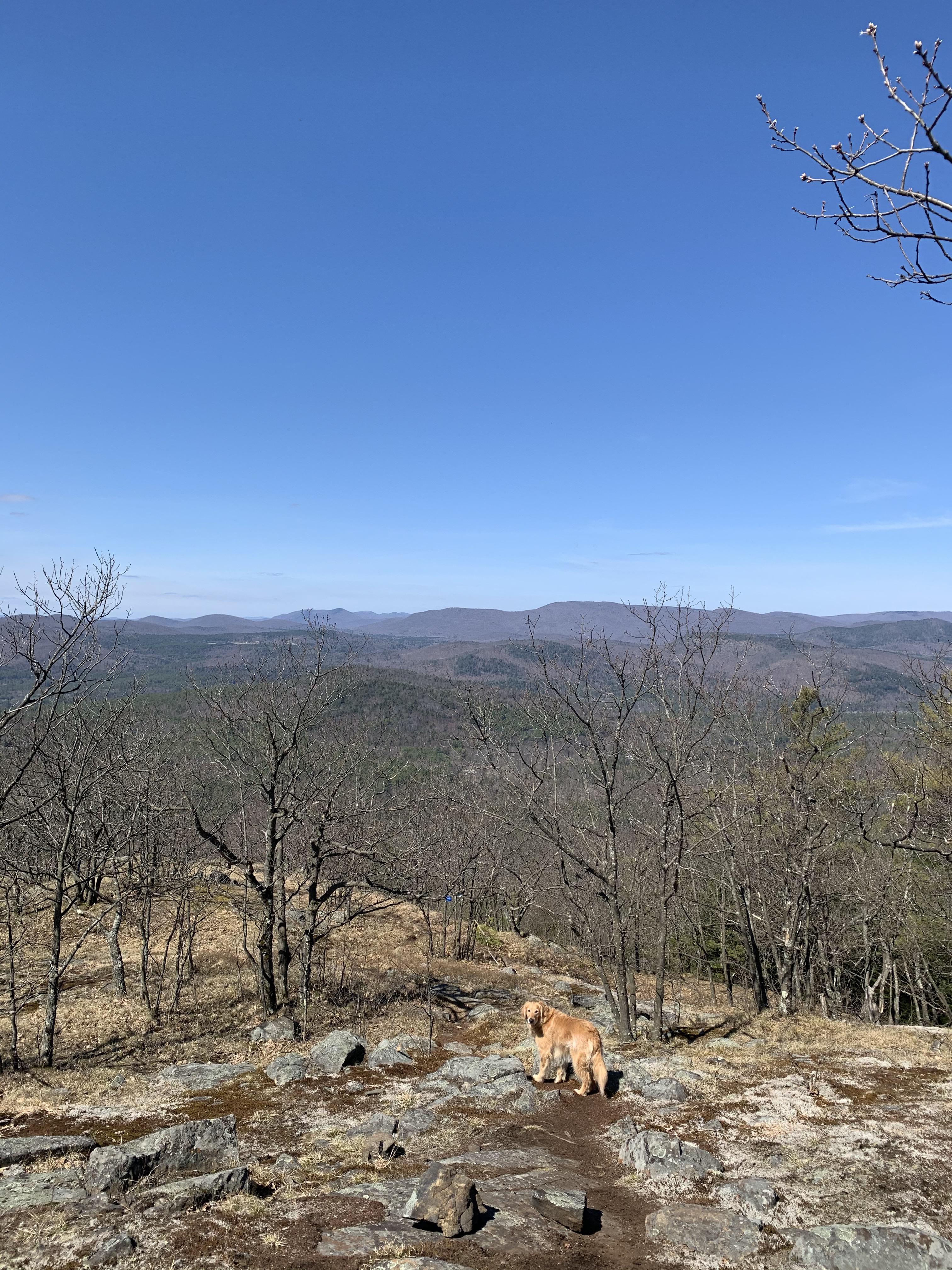 Potash Mountain, Lake Luzerne r/Adirondacks
