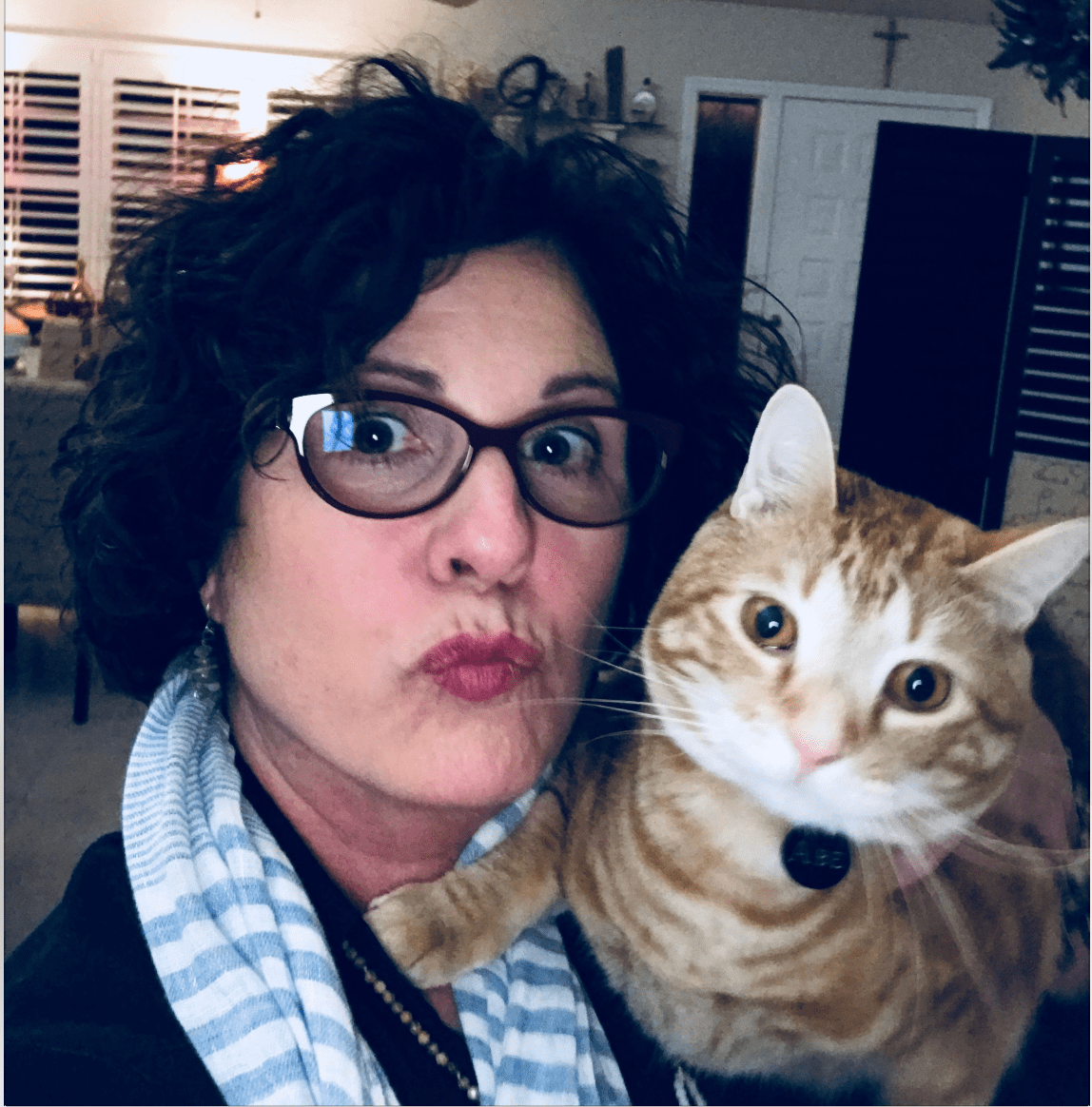 The photo I got after I asked my mom how cat sitting was going. r/cats