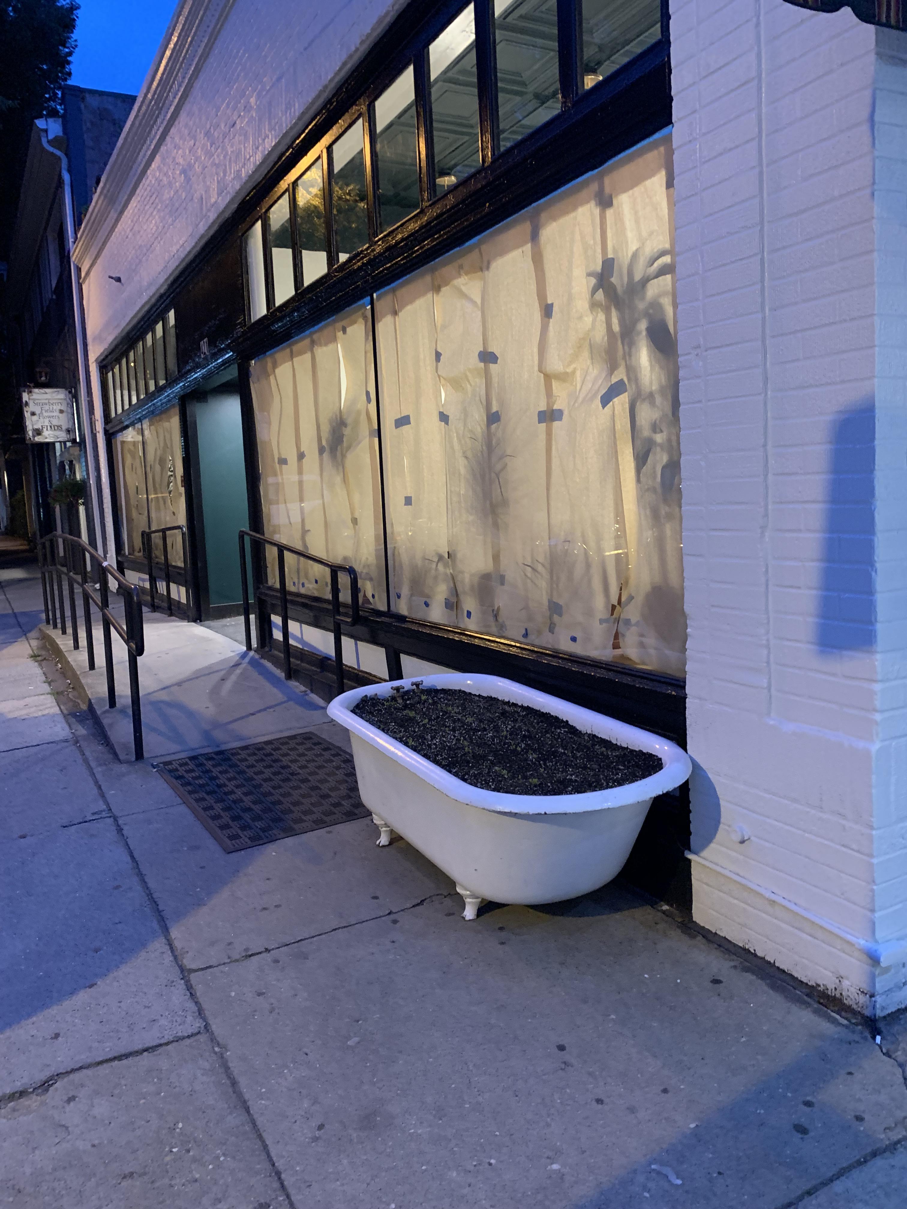 Long live the Strawberry Street Cafe bathtub! r/rva