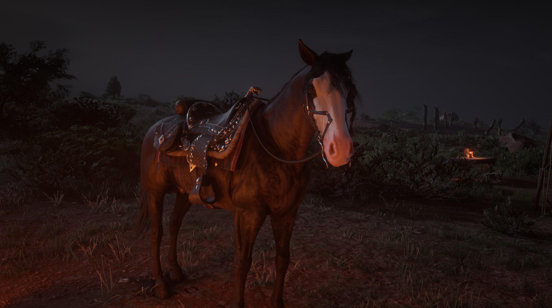 Don’t buy the Upland Saddle yet. Bridle clips through MFT’s head