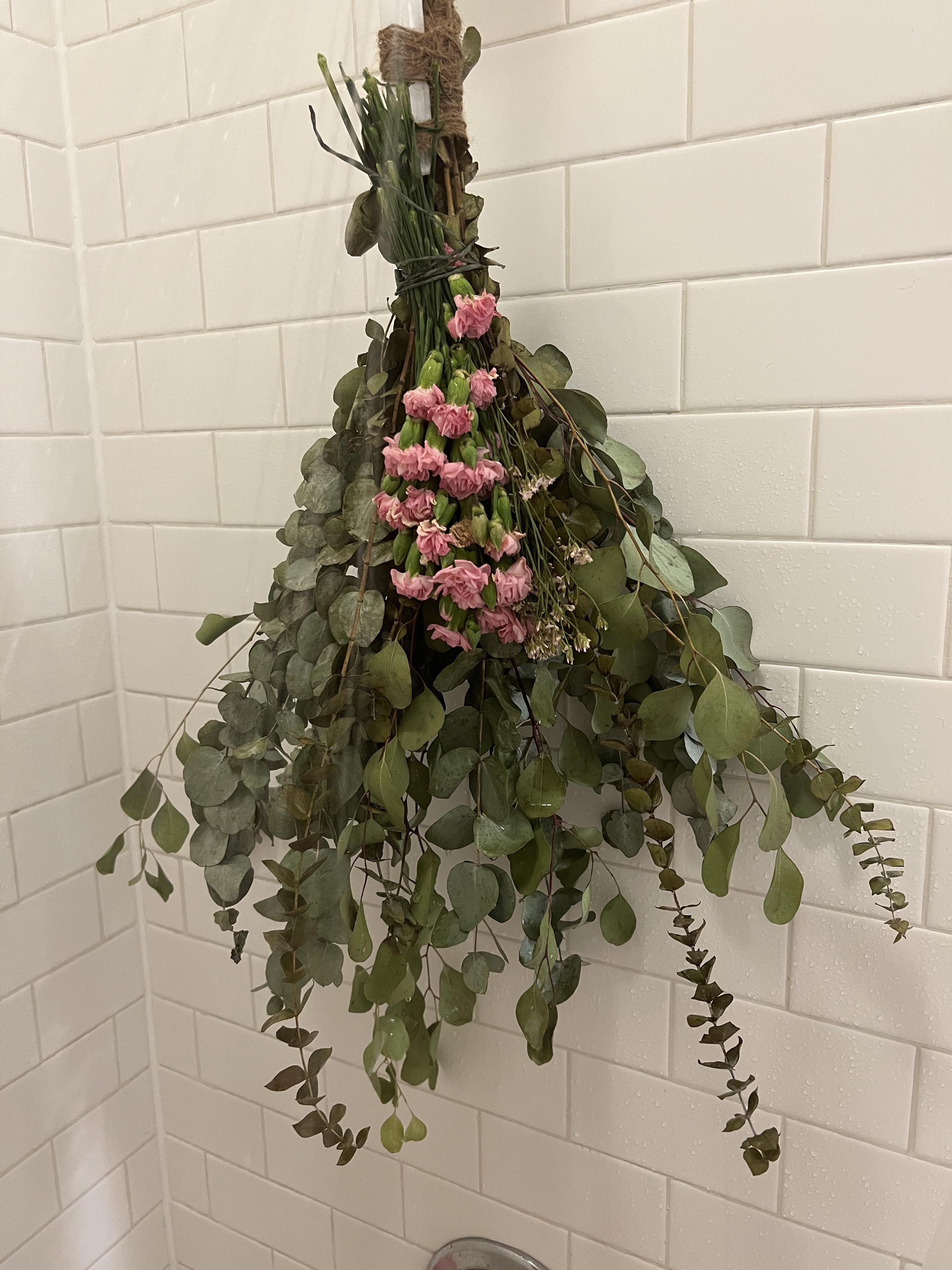 Decided to even get plants in my shower! I have been LOVING eucalyptus