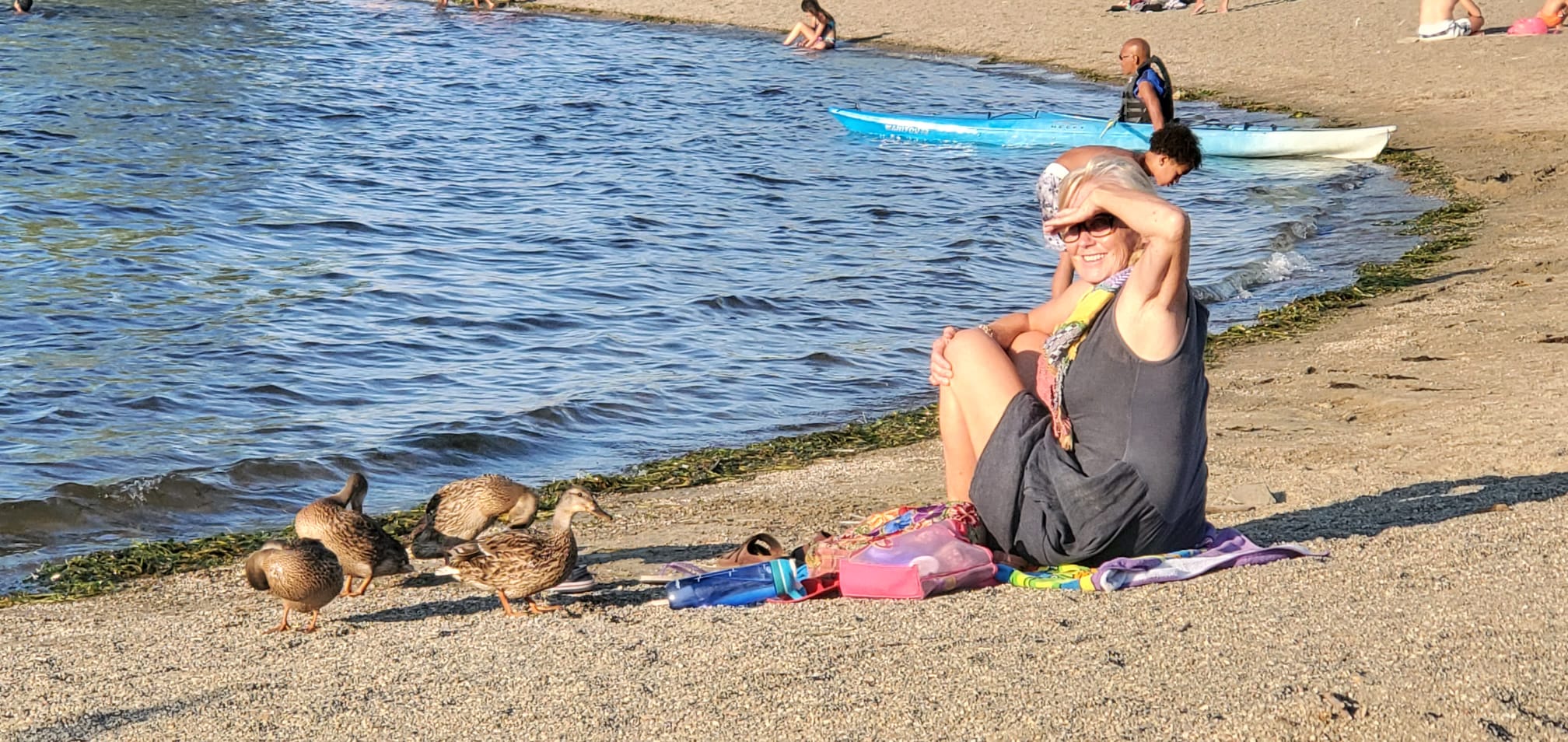 Friendly geese at Britannia beach r/ottawa