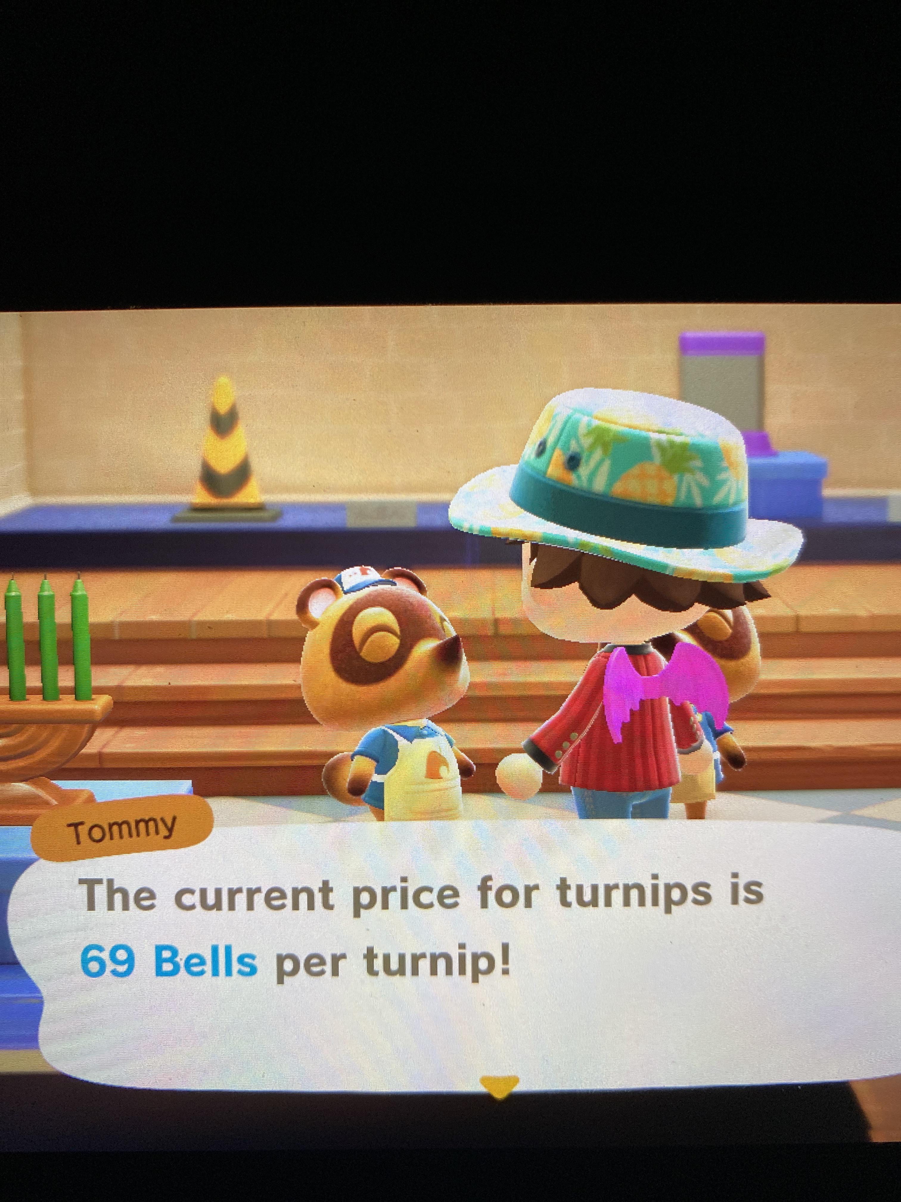 best turnip price r/AnimalCrossing