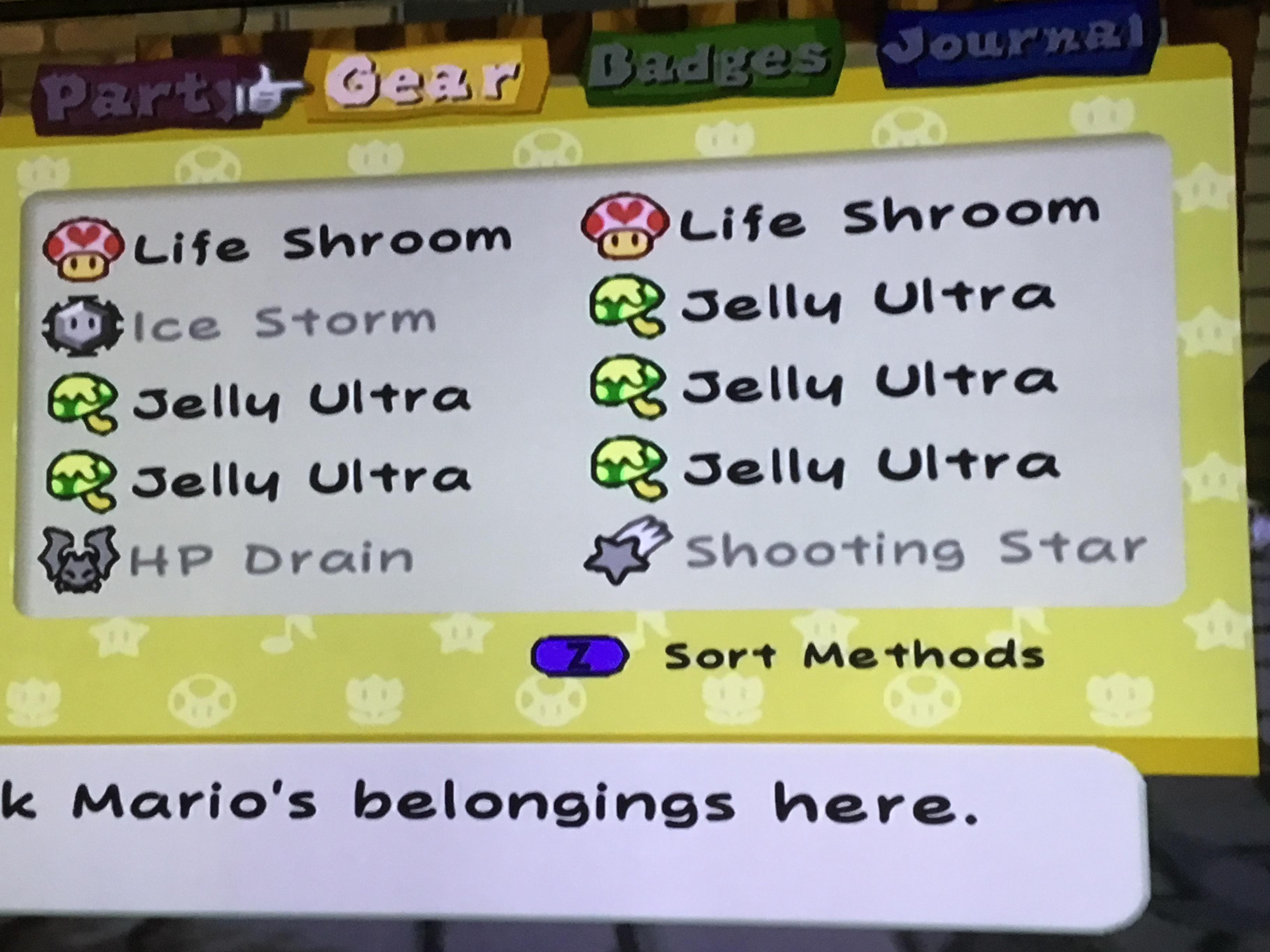 Going into the Palace of Shadow on my 2nd playthrough, how my items