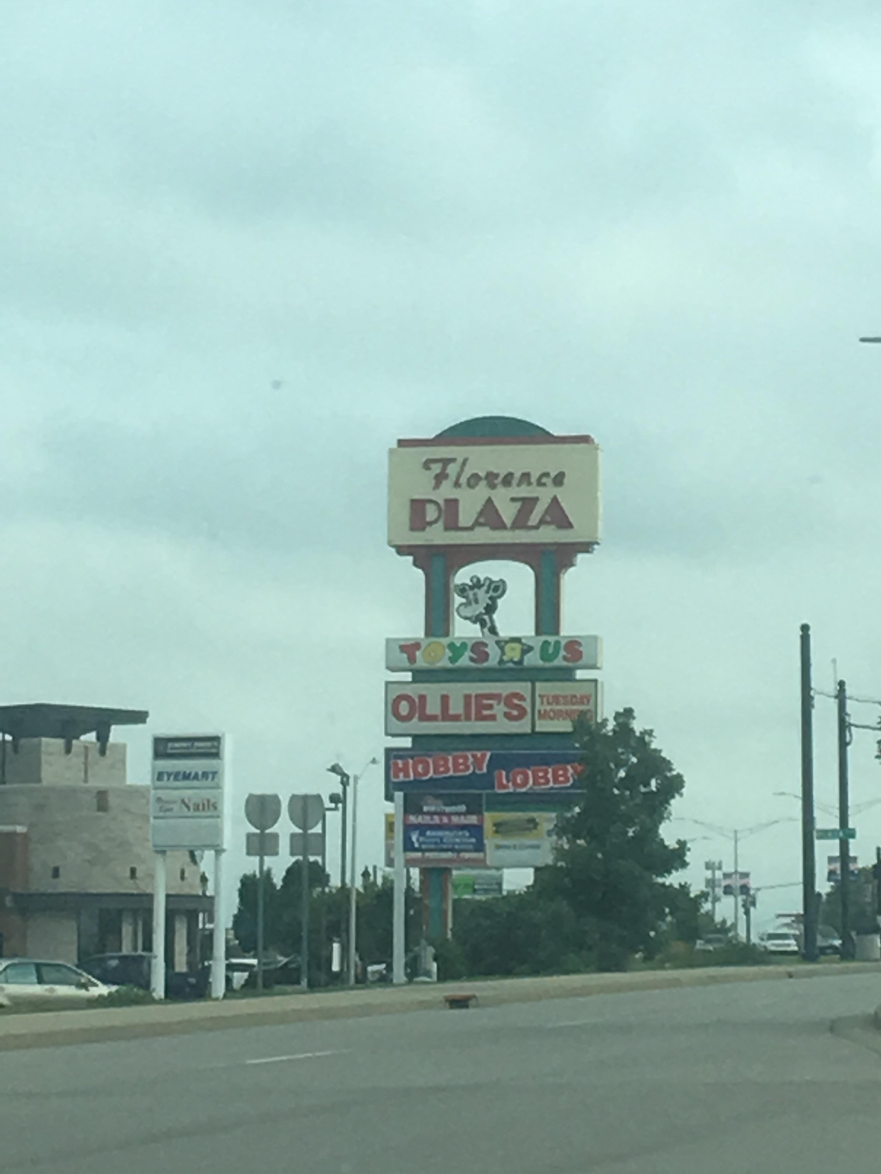 In Florence, Kentucky, there is a toys r us still open r/nostalgia