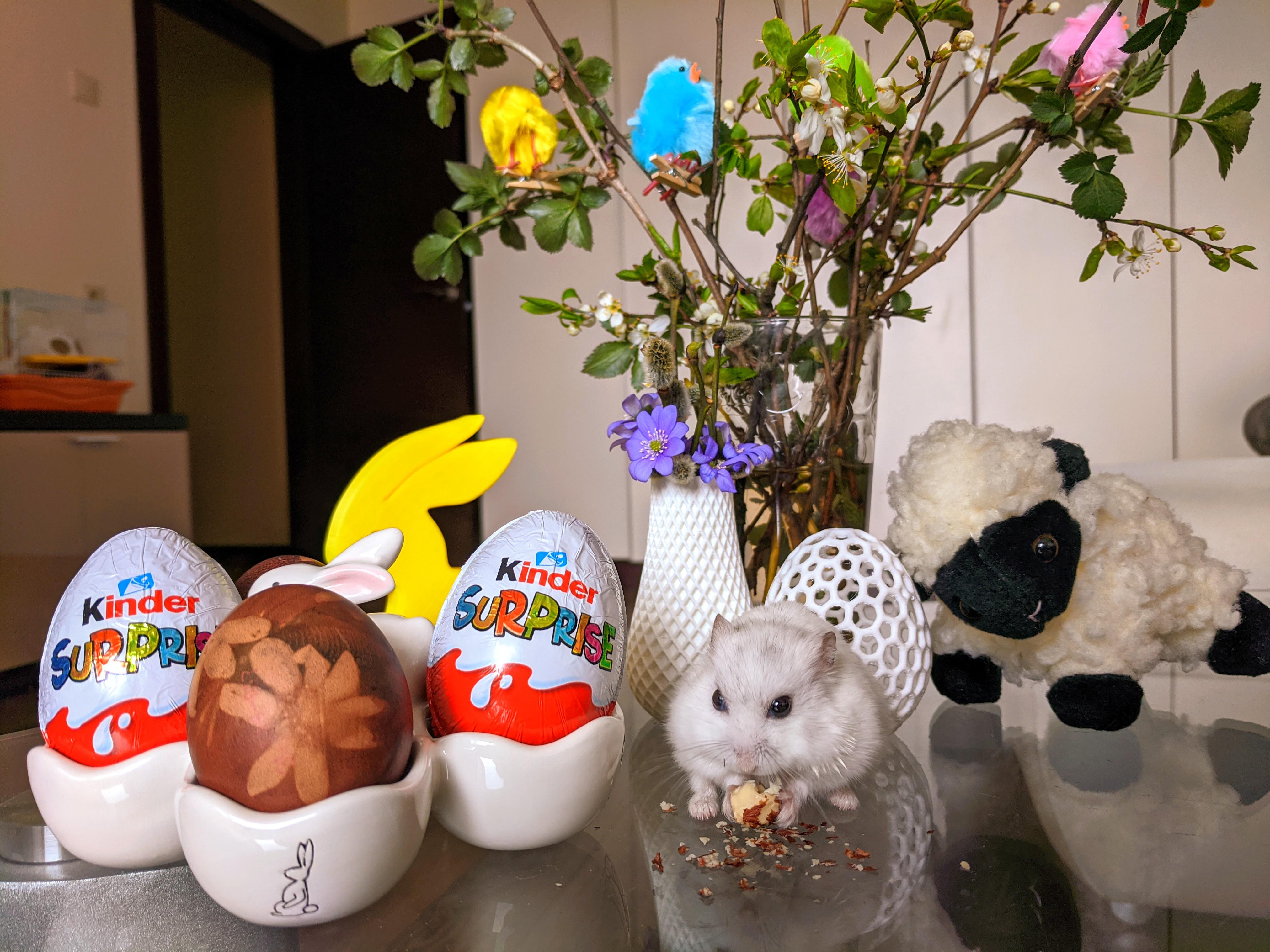 Happy Easter! 🐹🐇🐤🐑🥚 r/hamsters
