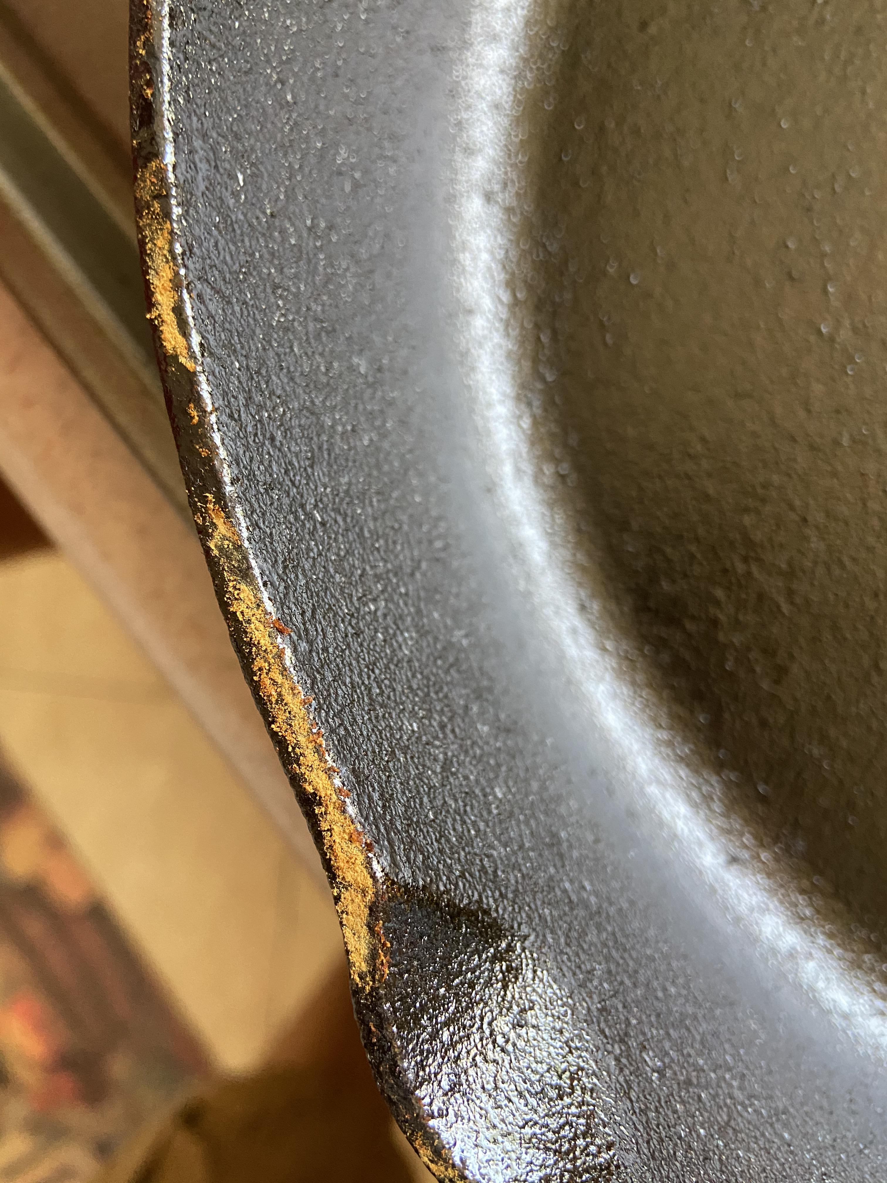 I’m seasoning my cast iron with flaxseed and I noticed these bumps