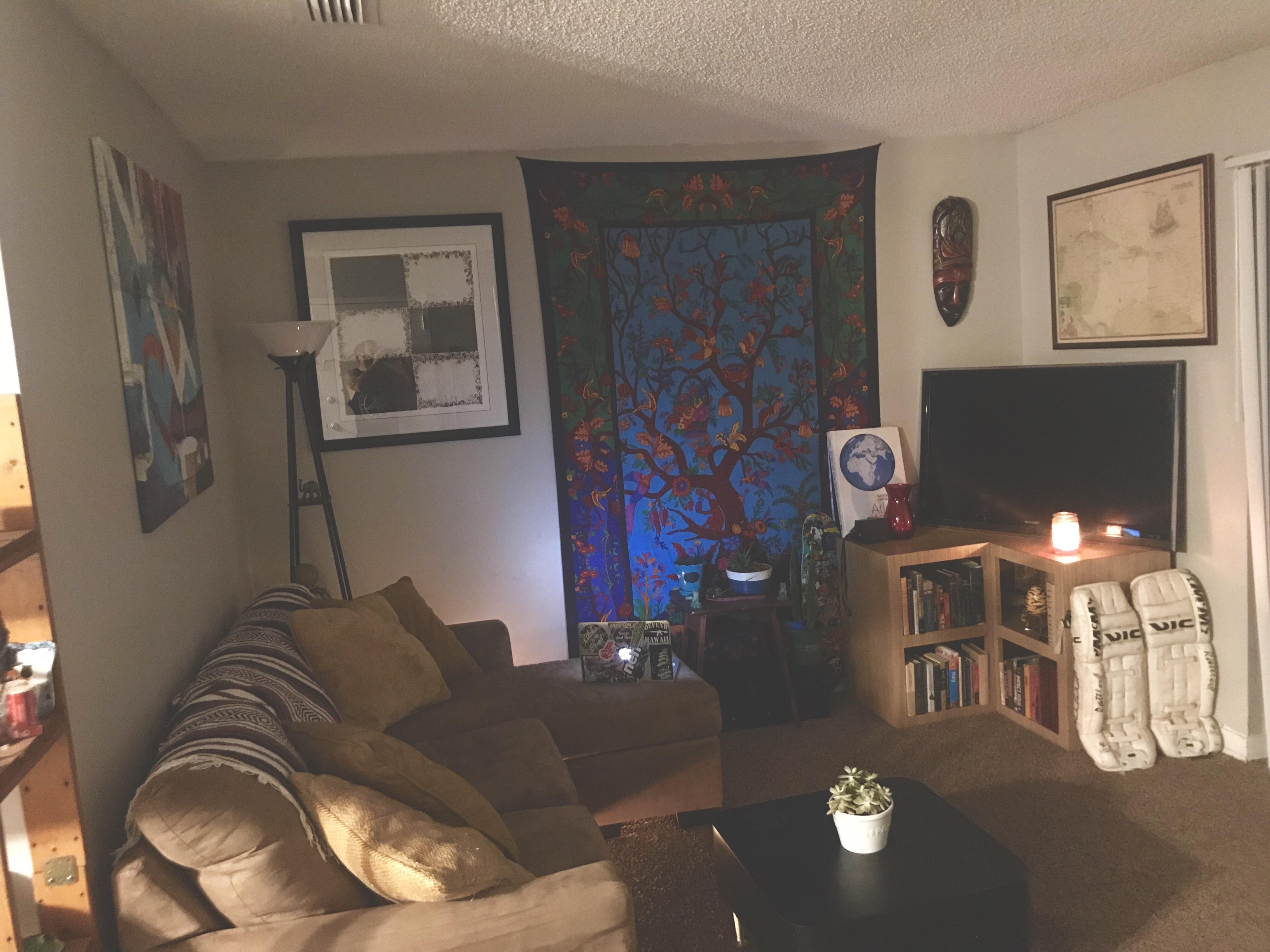 My cozy reading corner. Apartment outside Tampa, Fl. r/CozyPlaces